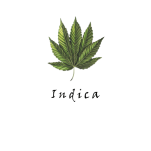 Indica