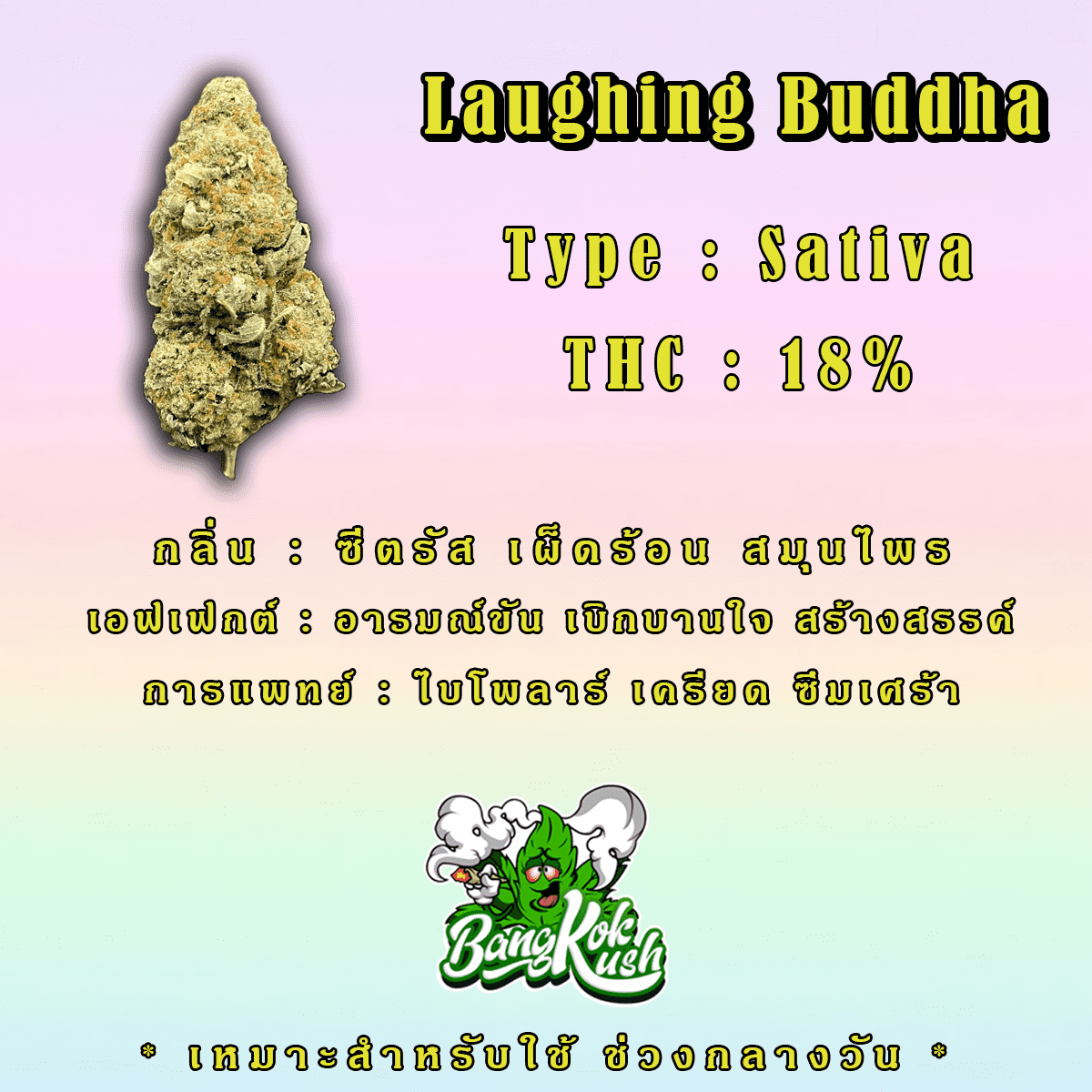 Laughing Buddha