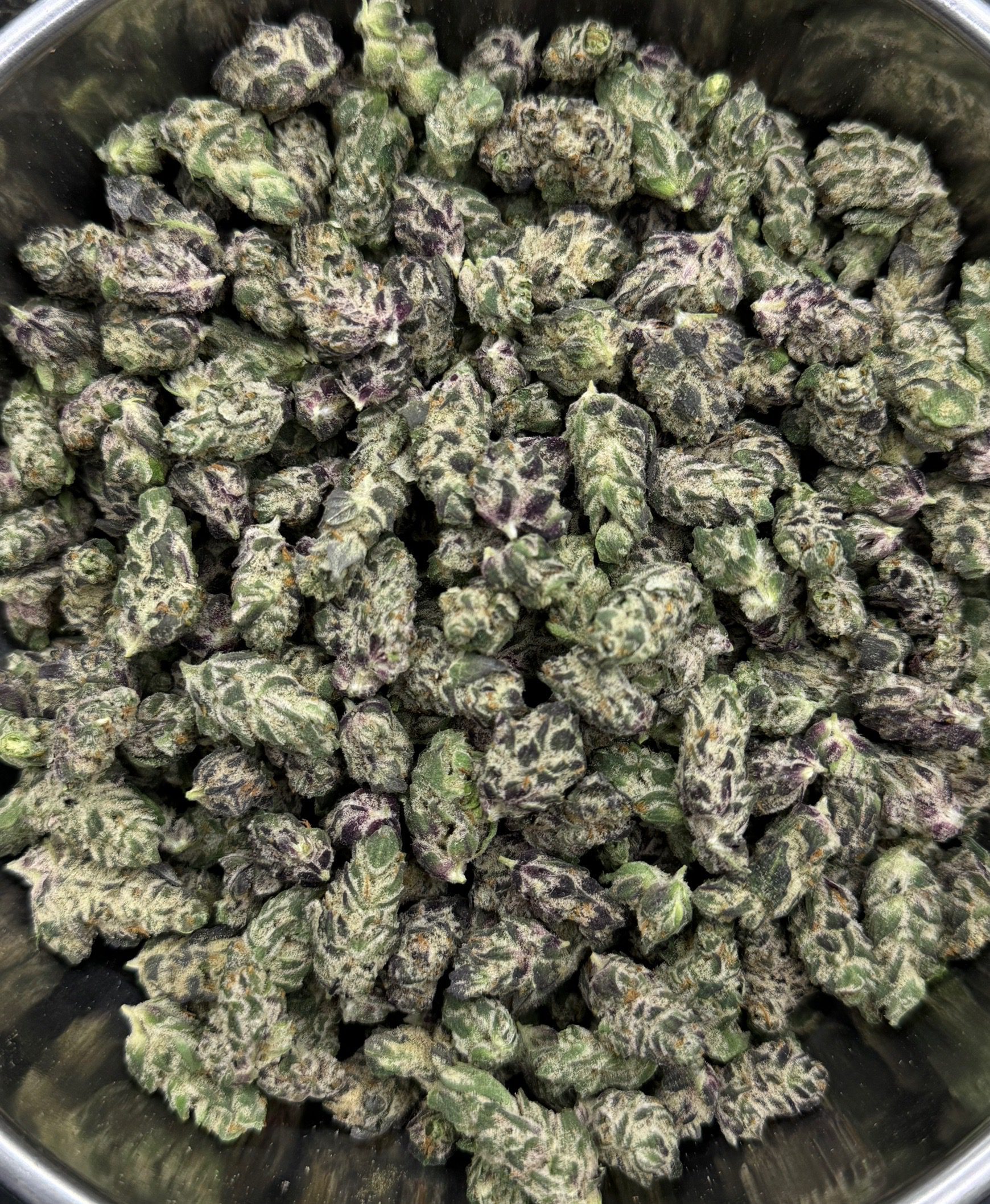 Blue Pave (POP)