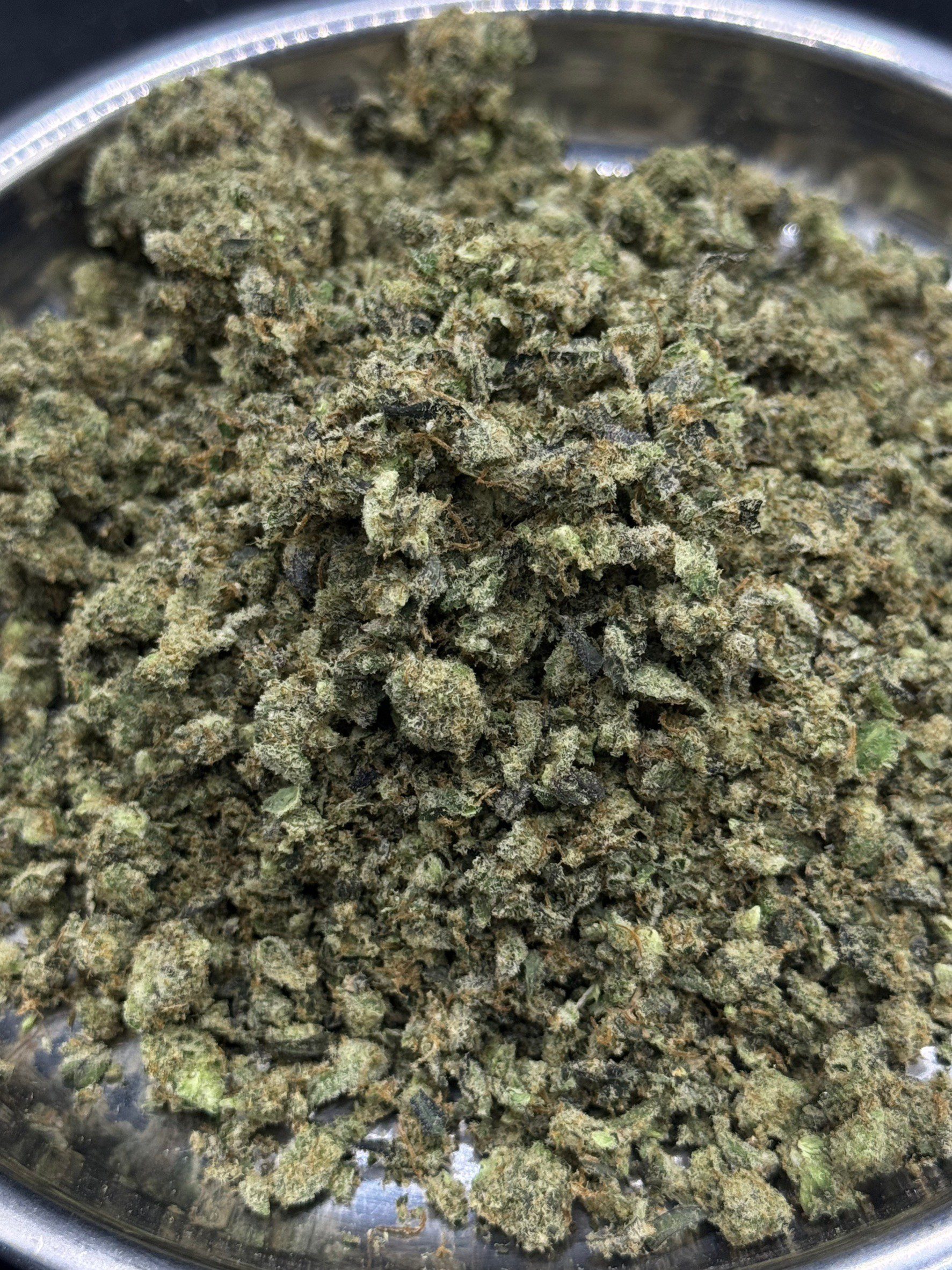 Shake – Grandpa’s Cookies