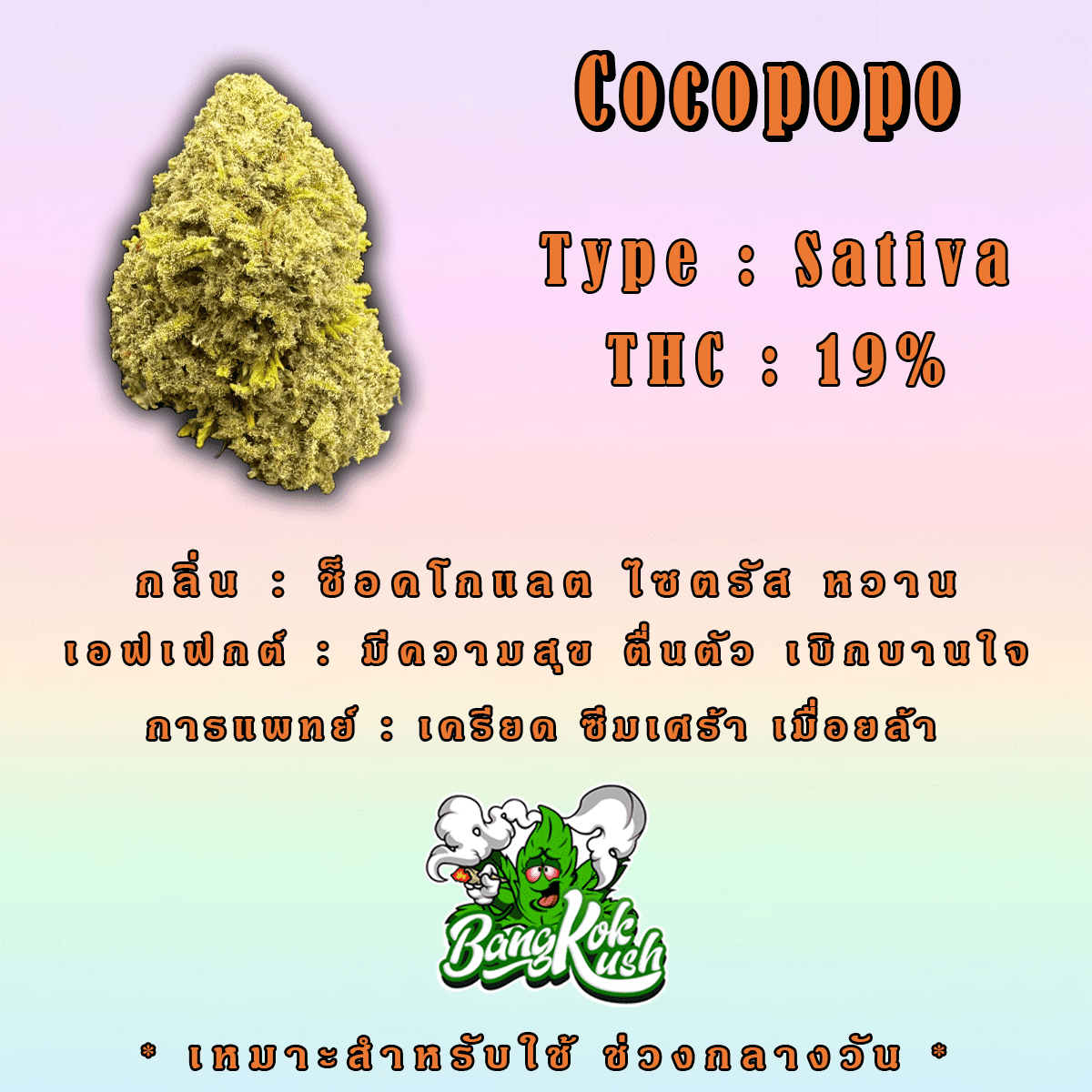 Cocopopo