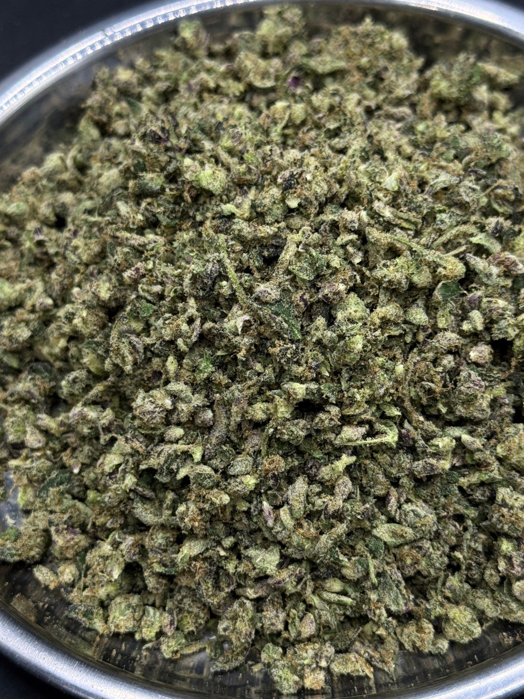 Shake – Perzimmon