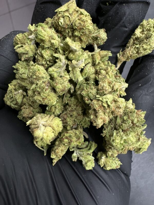 Nicole Kush