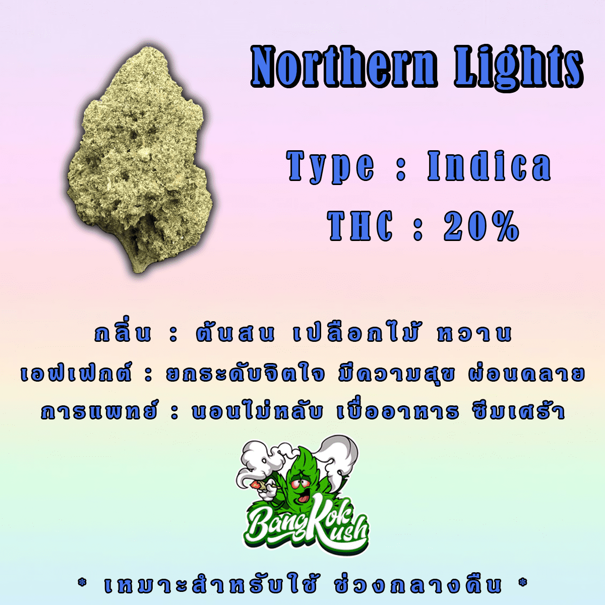 Northern Lights
