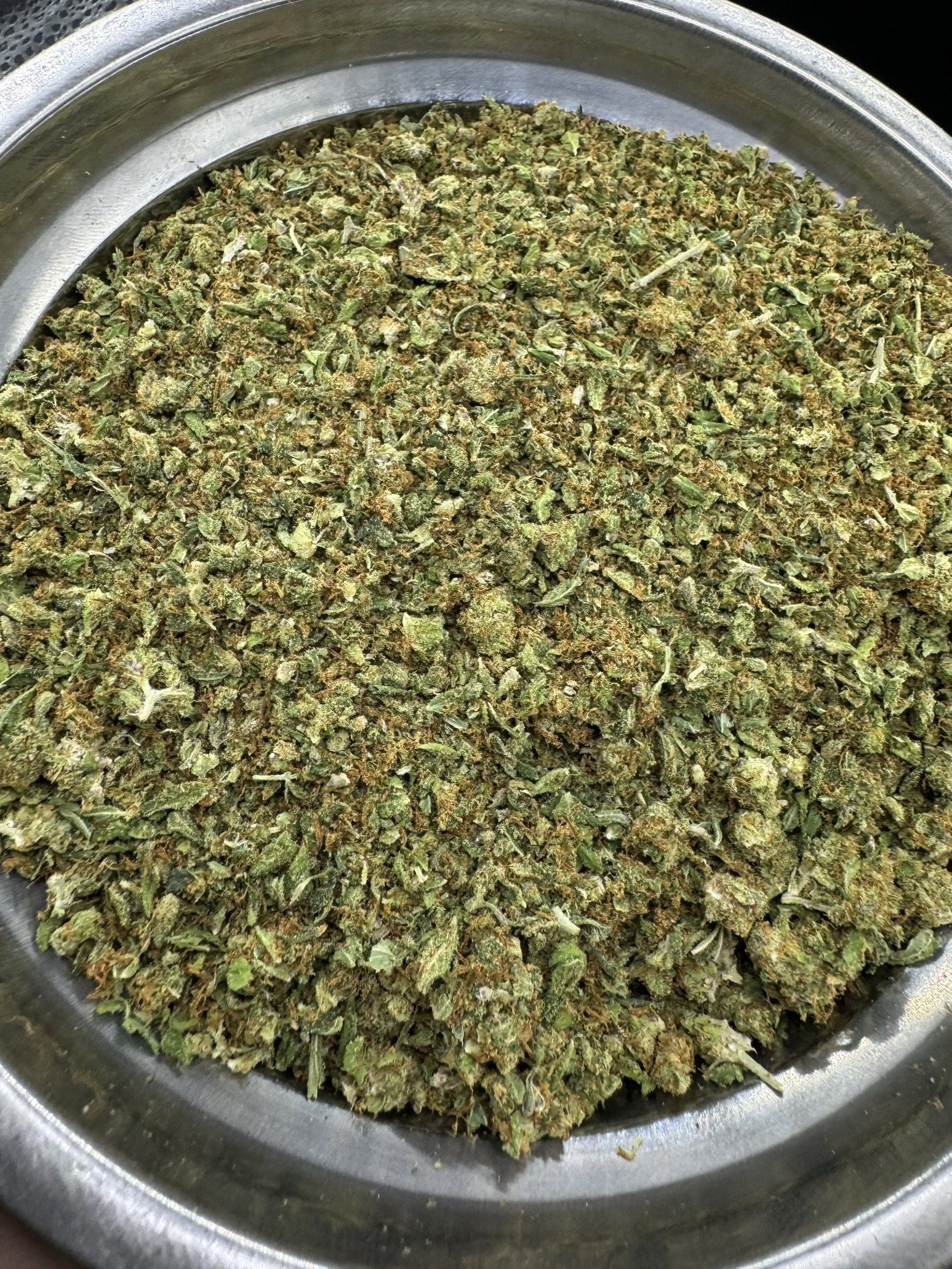 Shake – Jack Herer