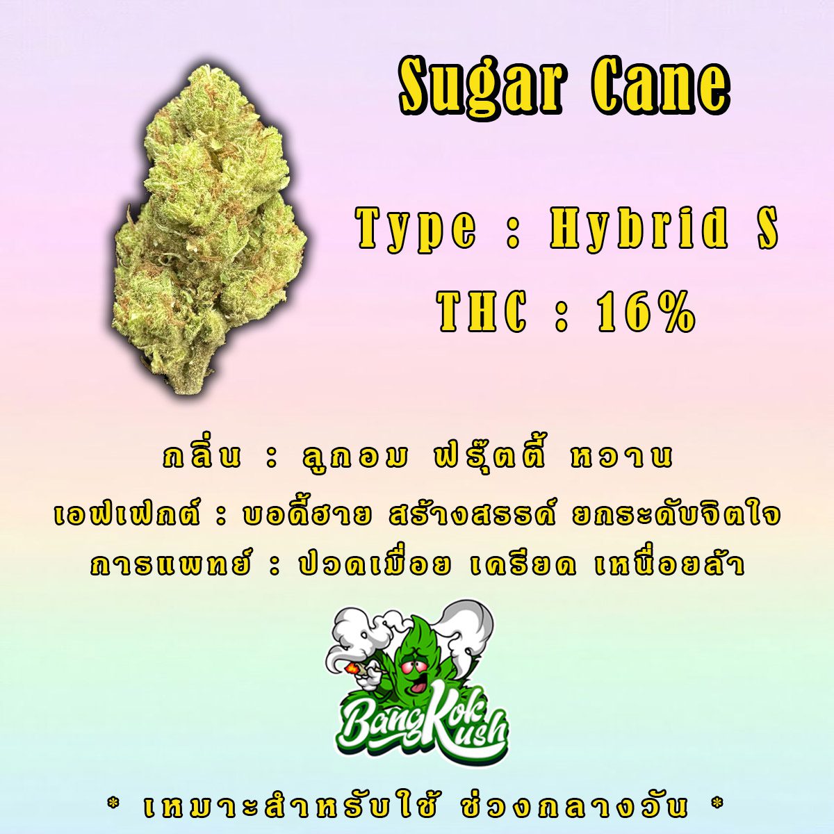 Sugar Cane