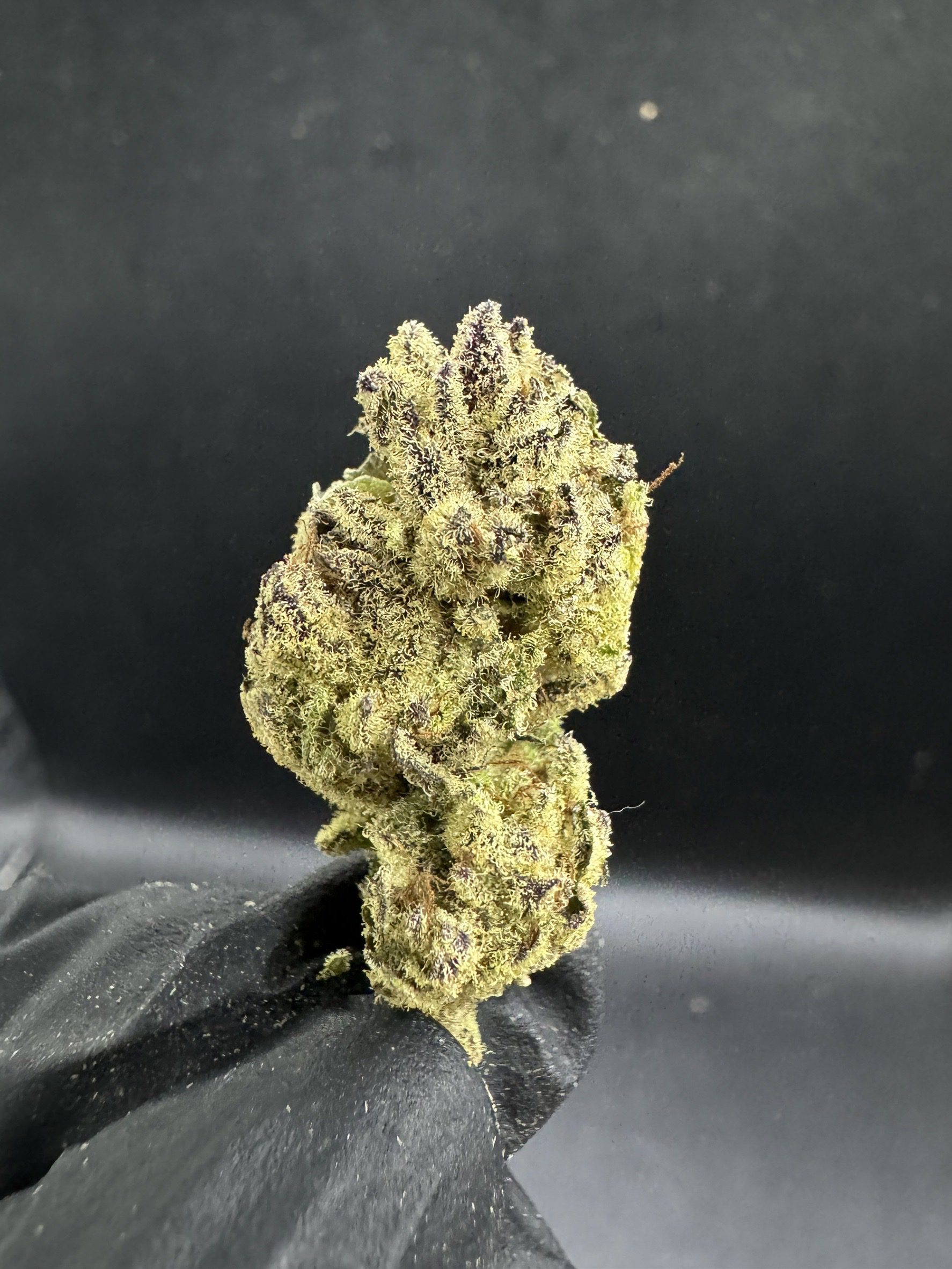 Truffle n Flow