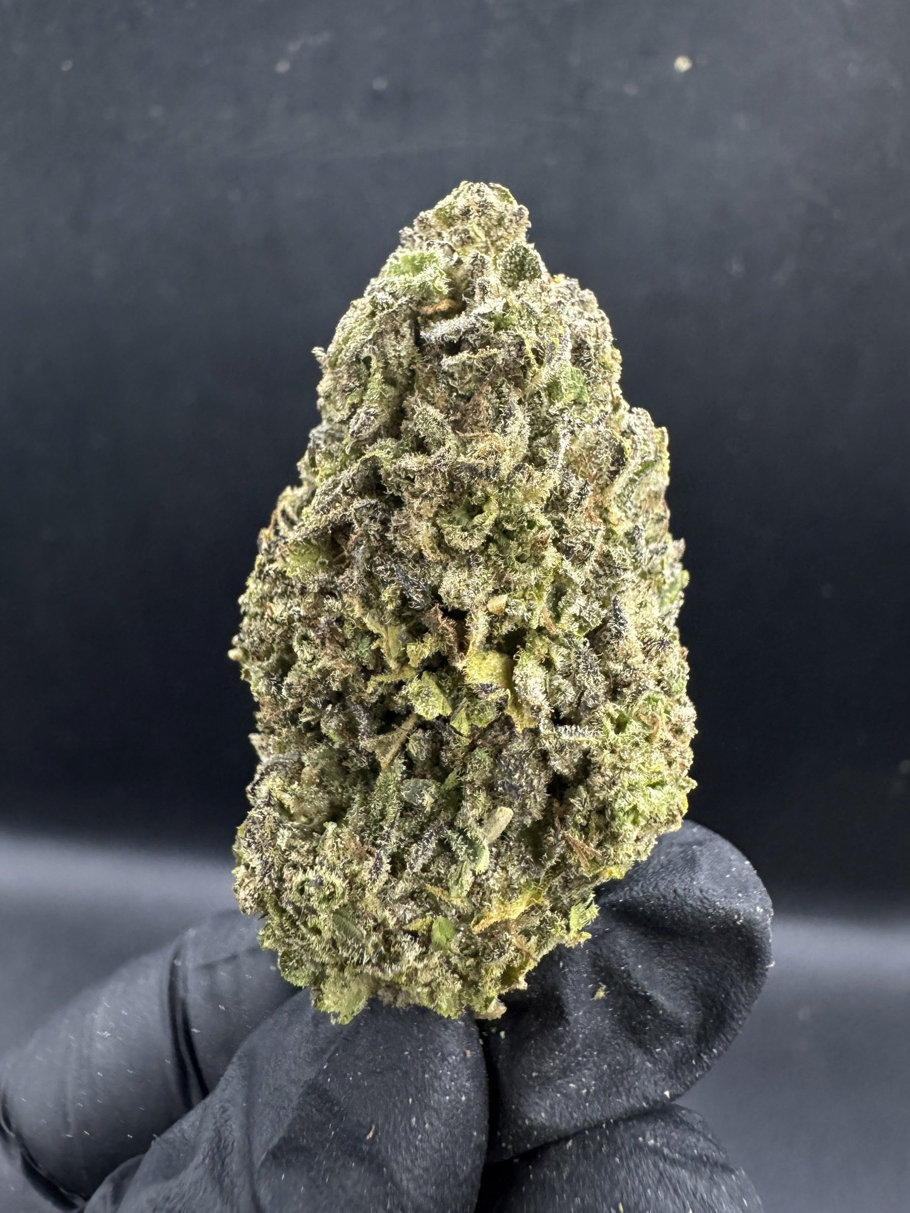 Blueberry