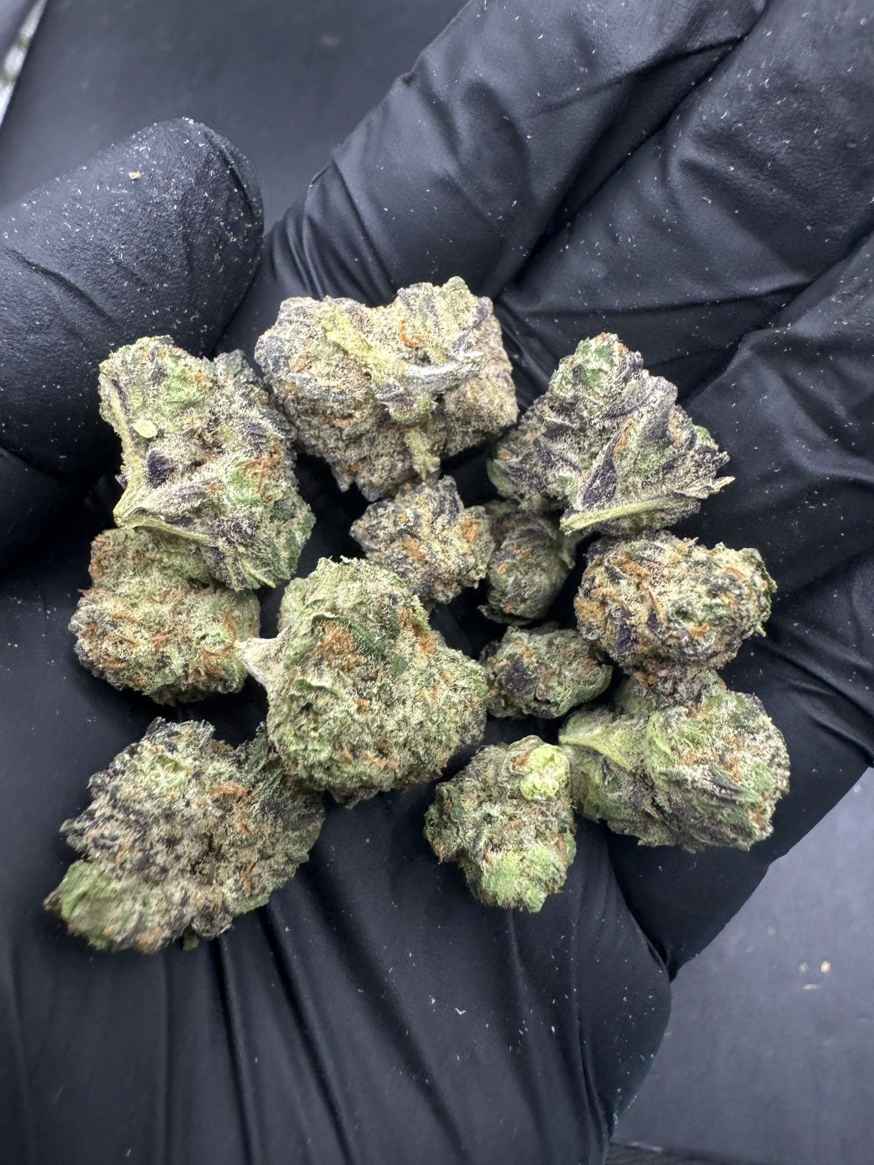 Mandarin Zkittle ( Pop )