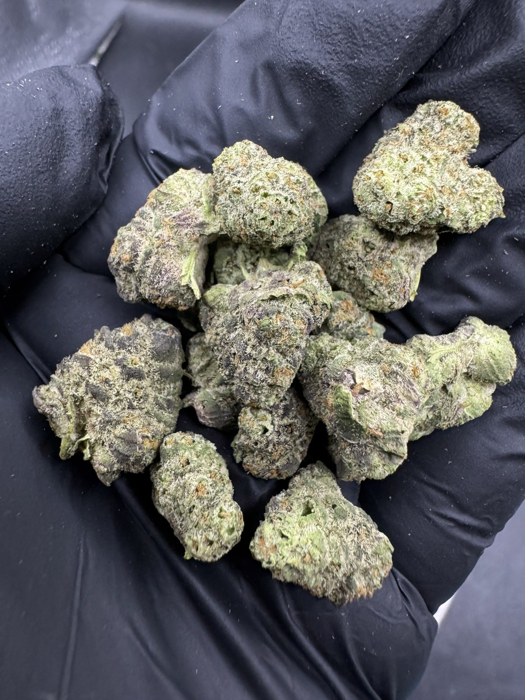 Ethos Cookies ( Pop )
