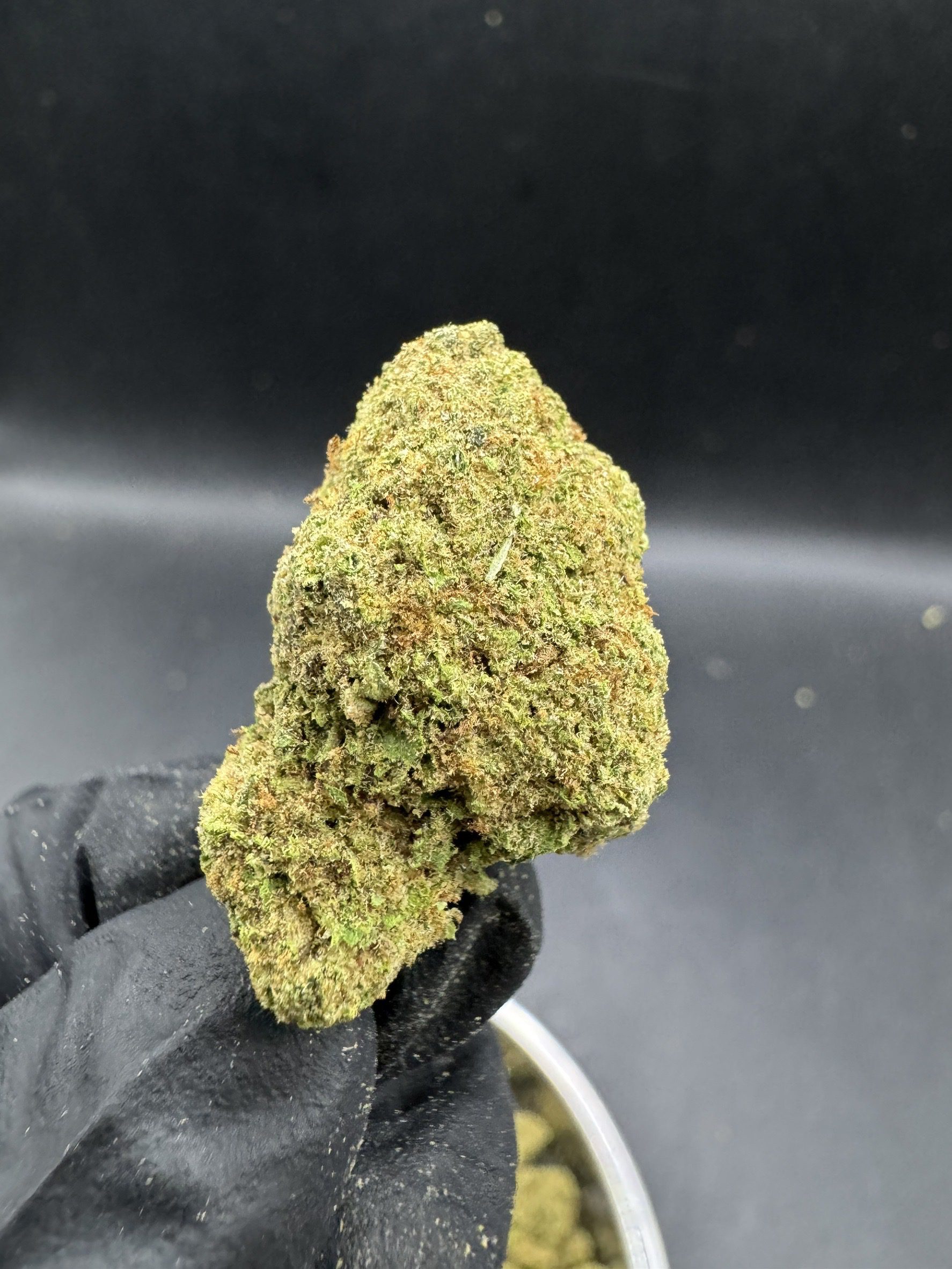Blueberry Headband