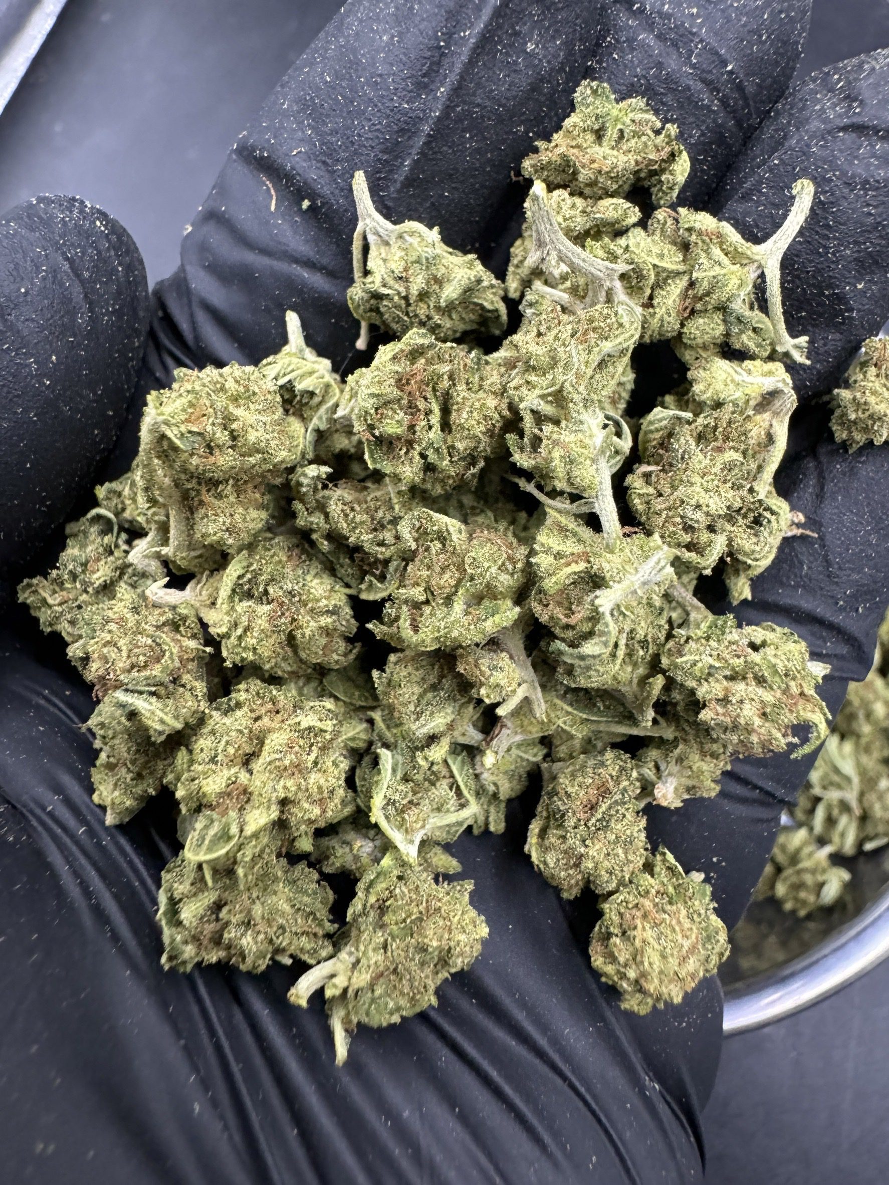 Chocolate Thai ( Pop )
