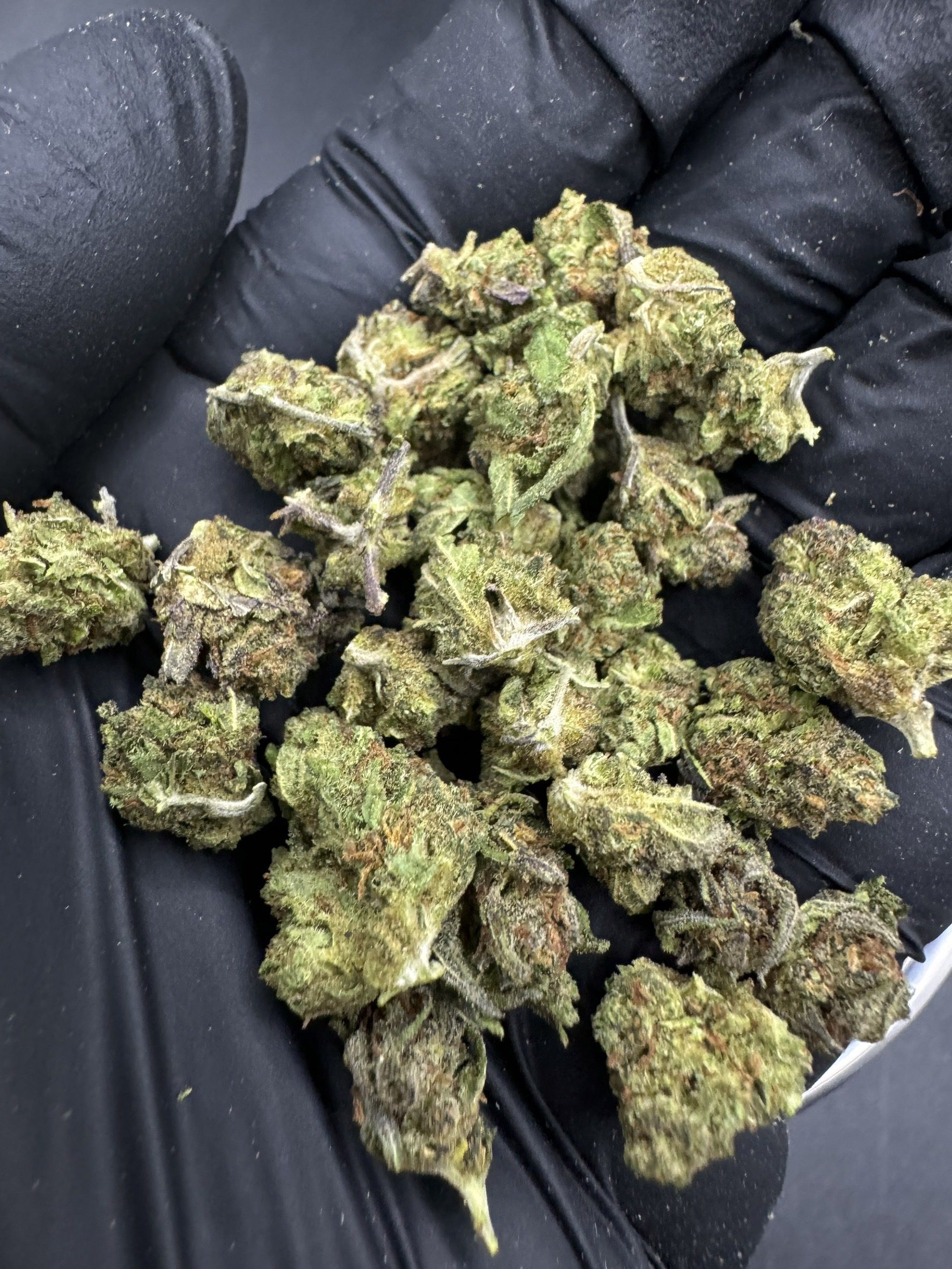 Purple Punch ( Pop )