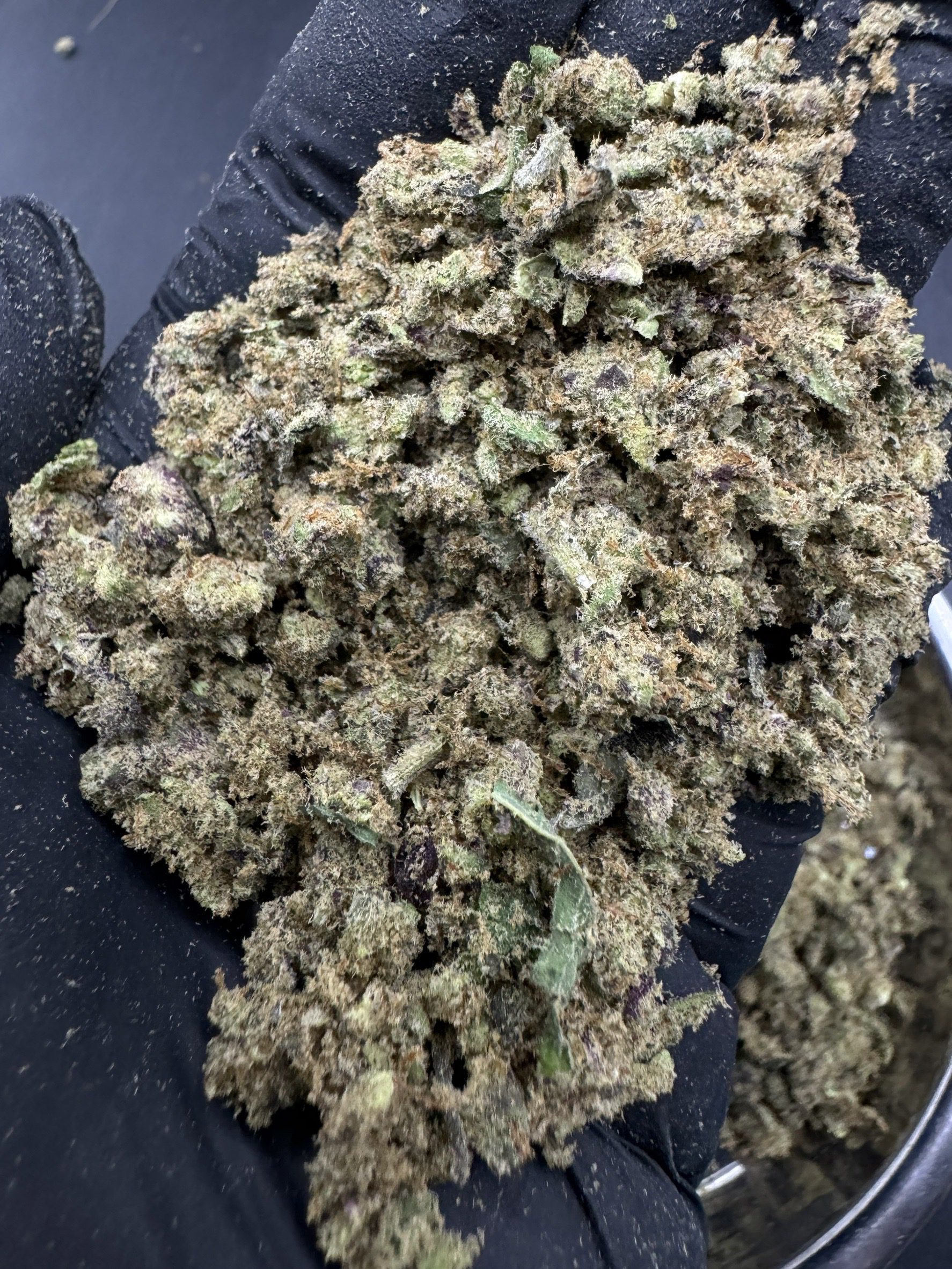 Shake – Black Jack