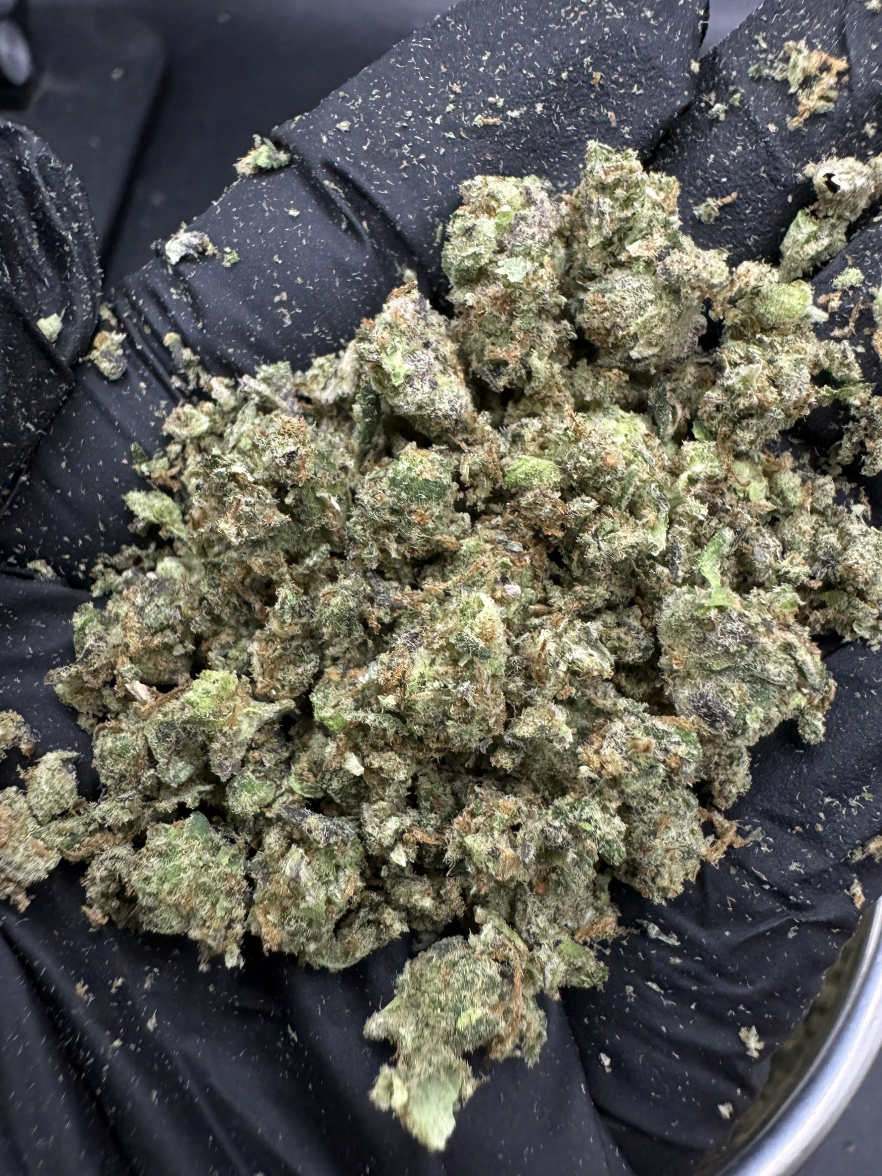 Shake Mandarin Zkittle