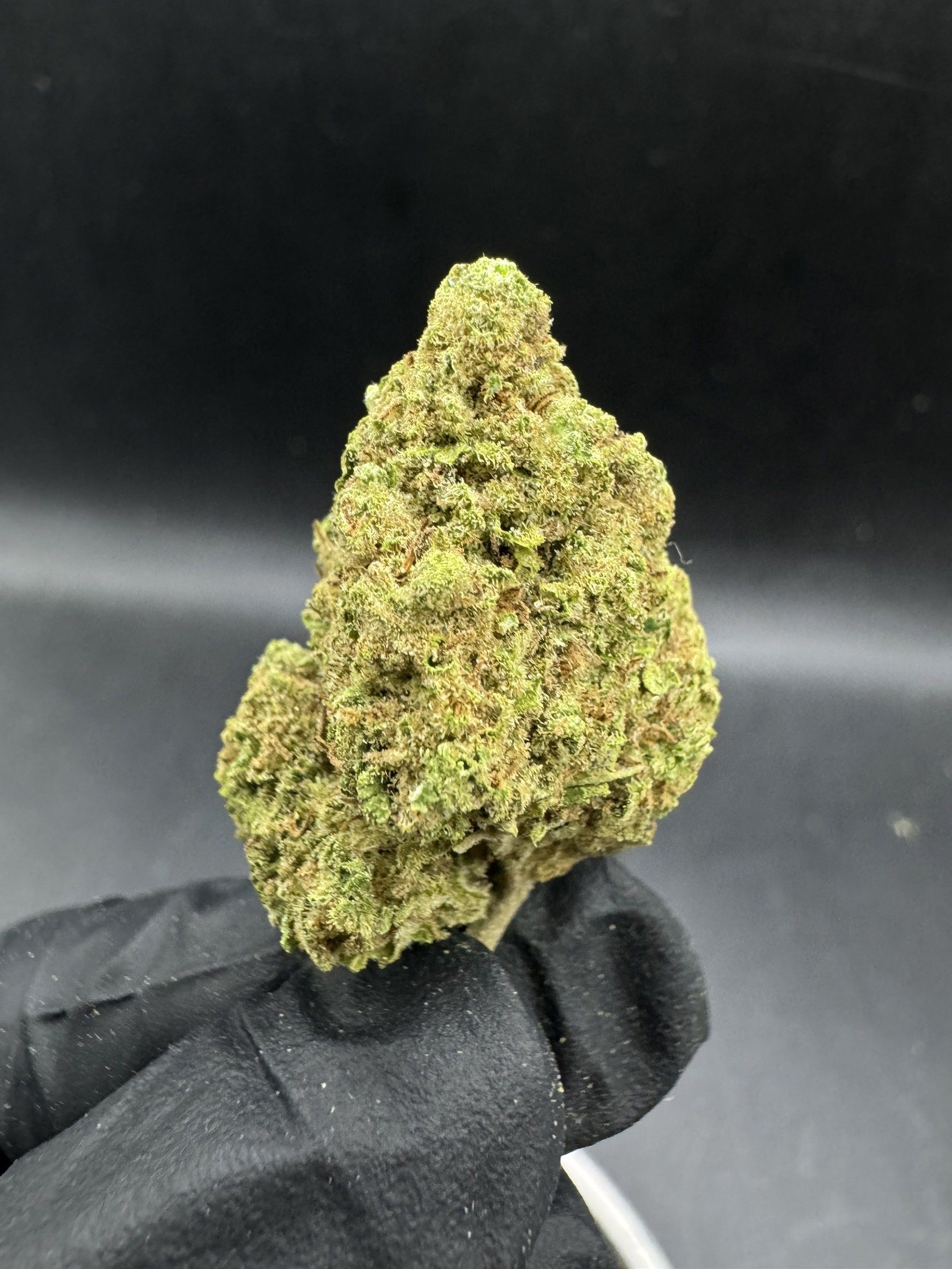 Banana Punch