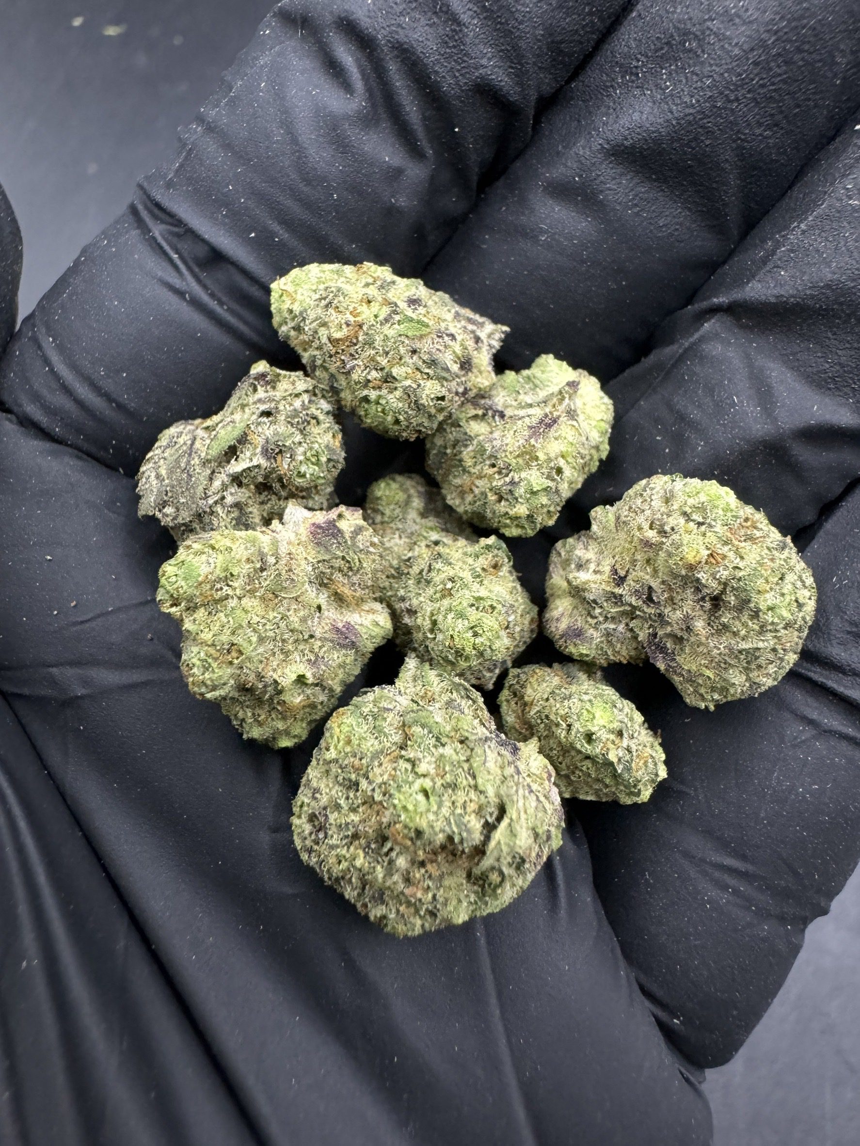 Grandpa’s Cookies (Pop)