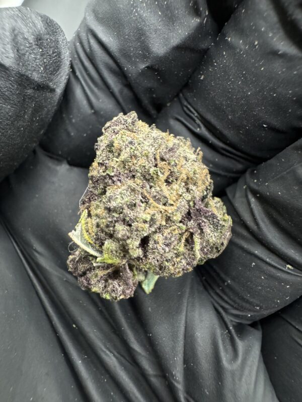 Super Boof - Image 3