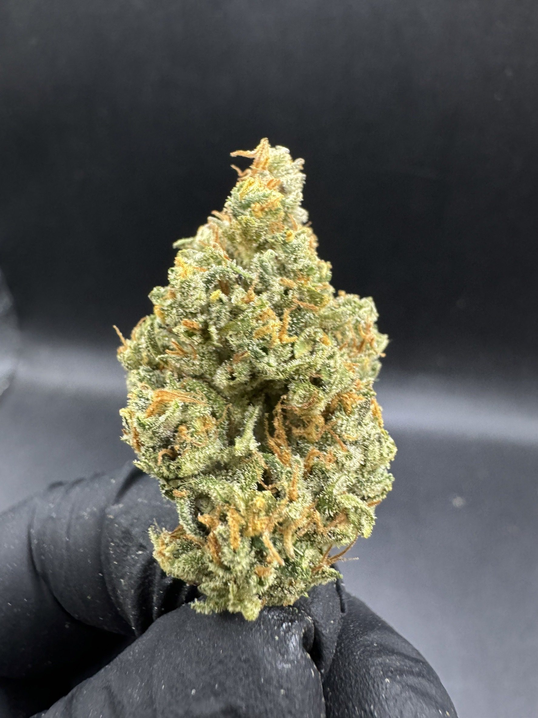 Strawberry Pie