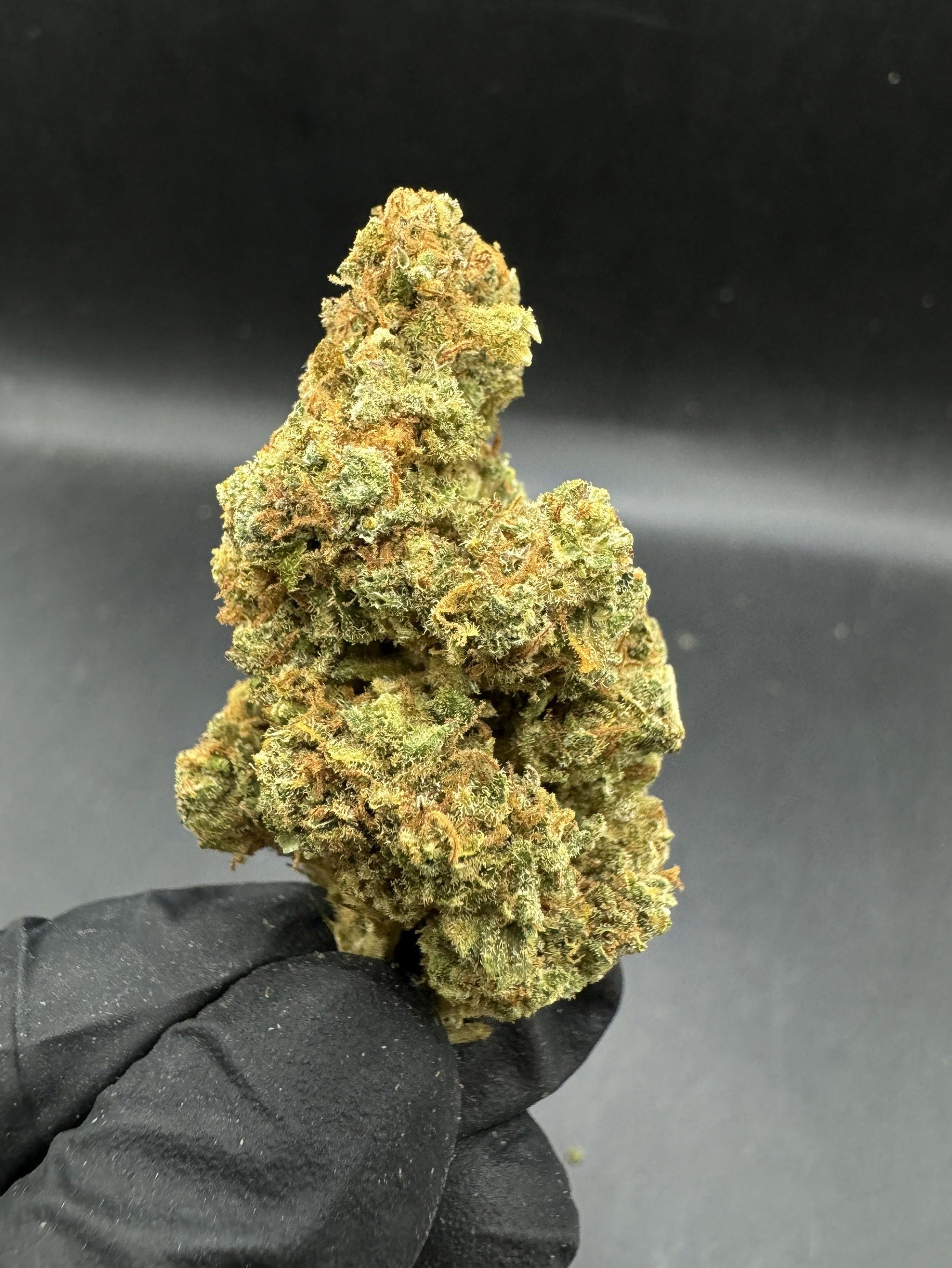 Royal Kush