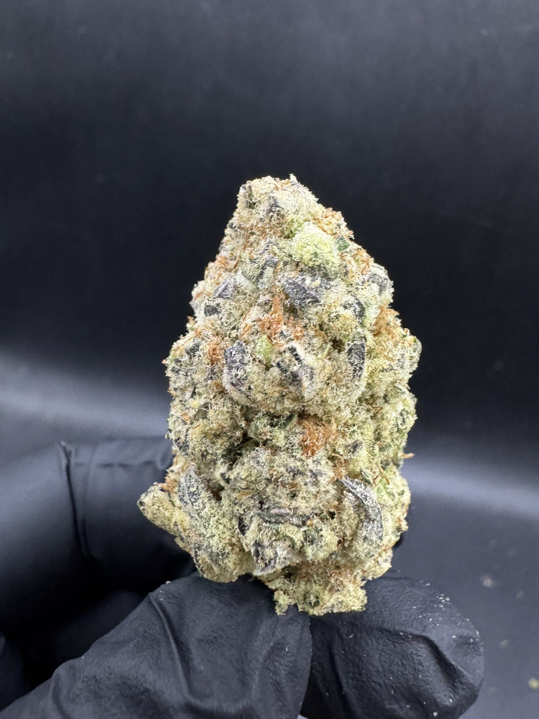 Lava Cake