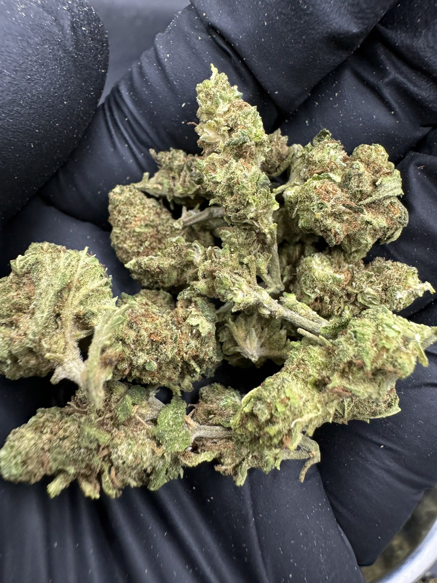 Mandarin Cookies ( Pop )