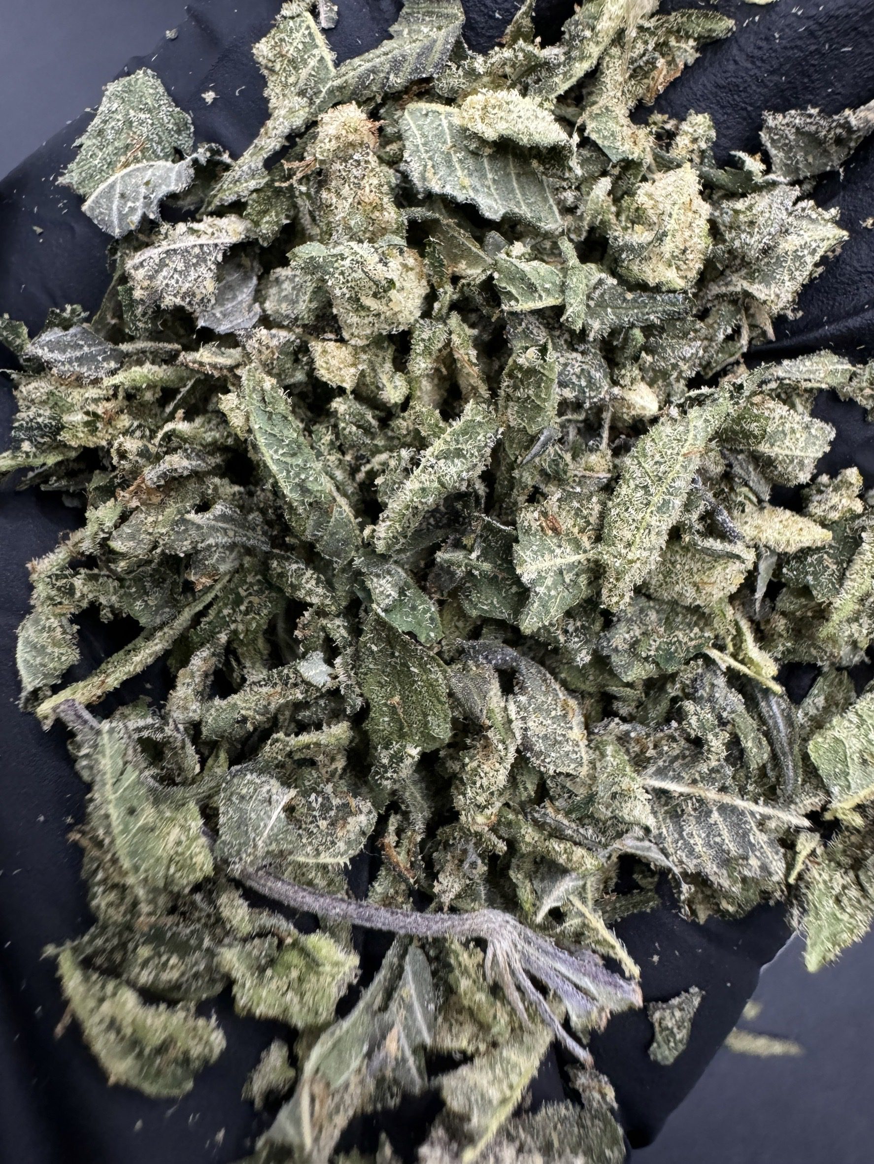 Trim King Kong Glue