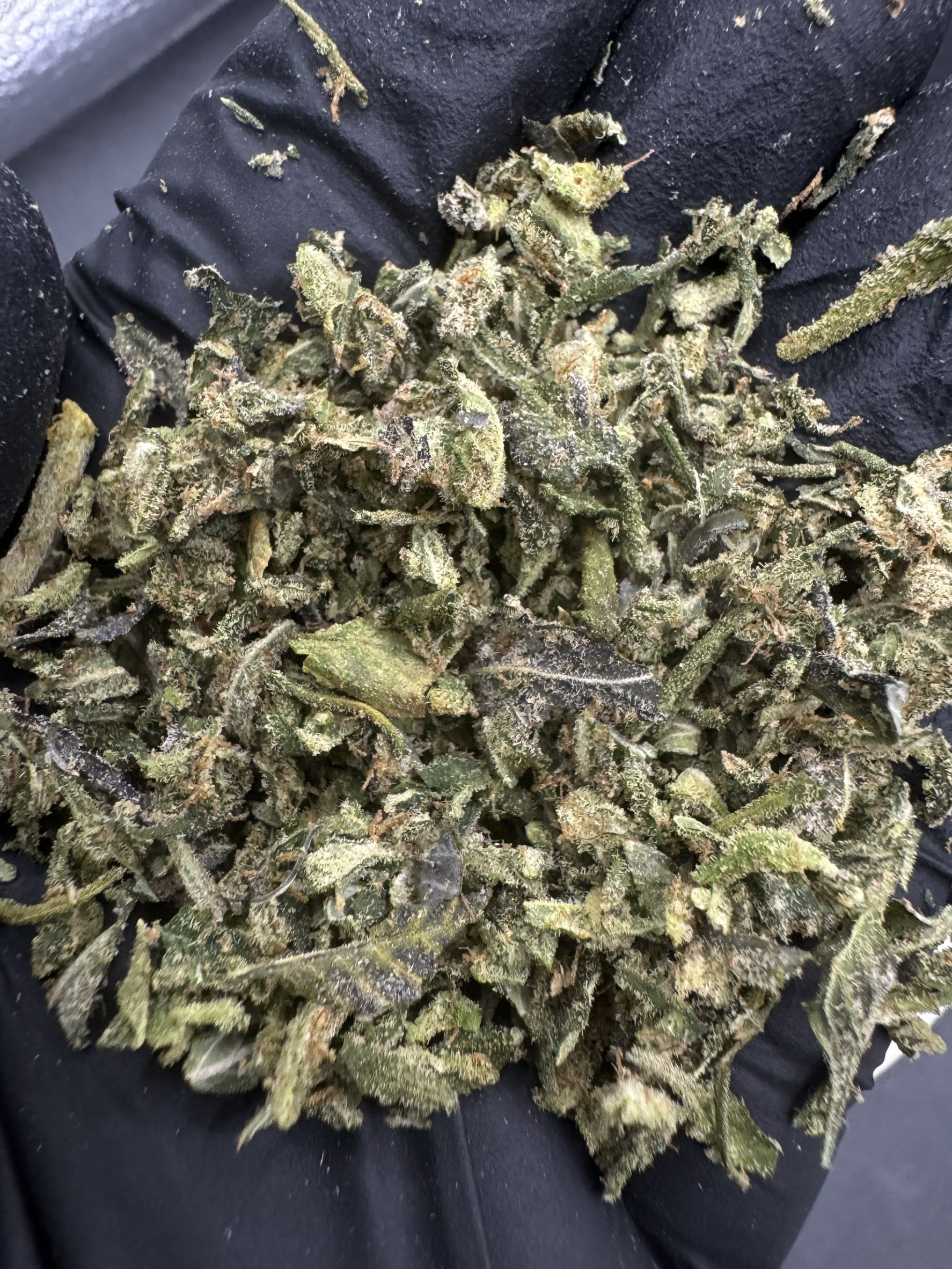 Trim Lemon Haze