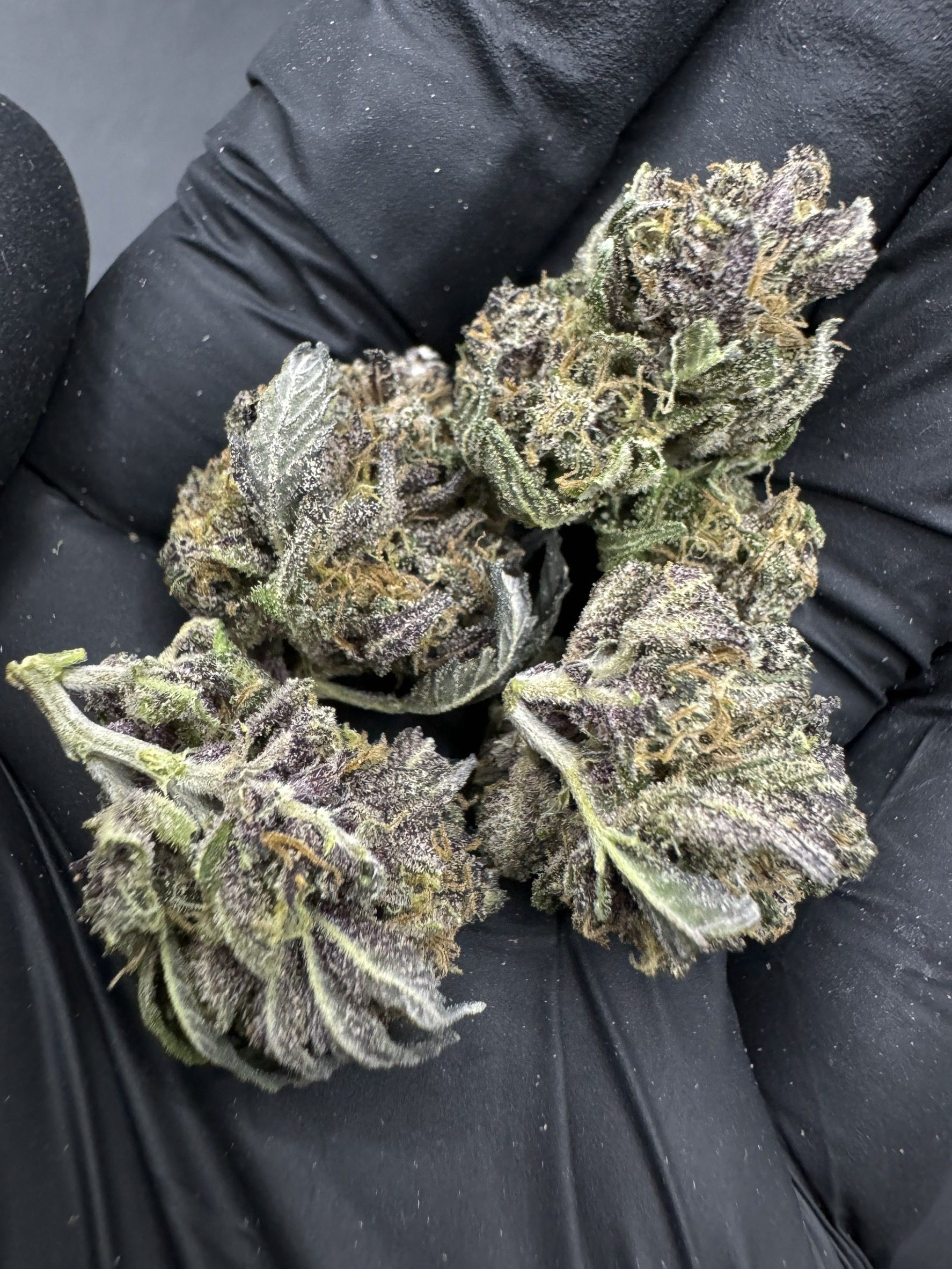 Dankberry
