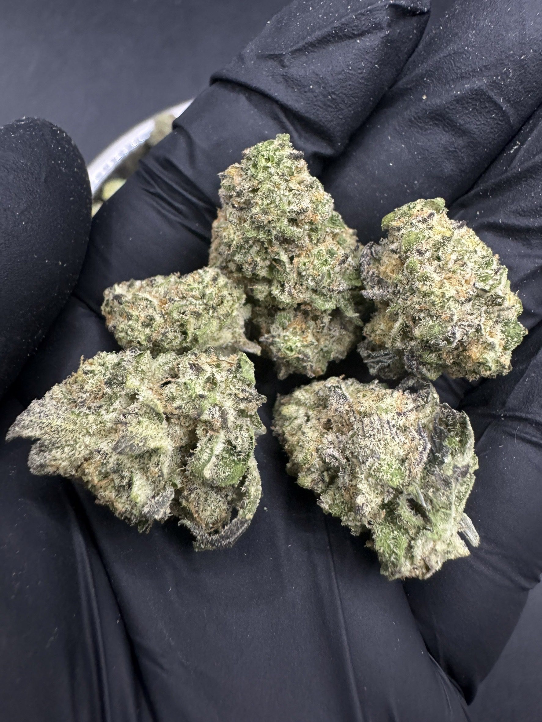 Oklahoma Coma