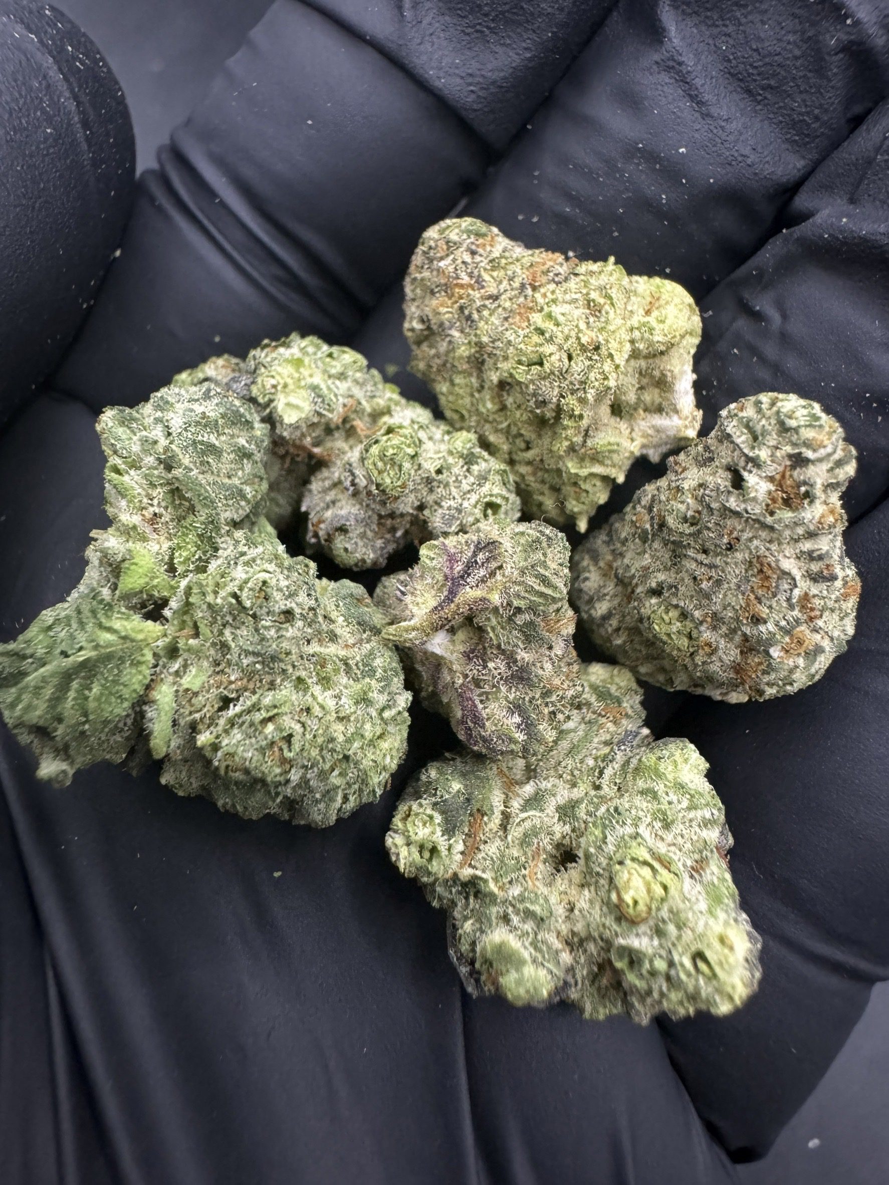 Mandarin Zkittle ( Pop )