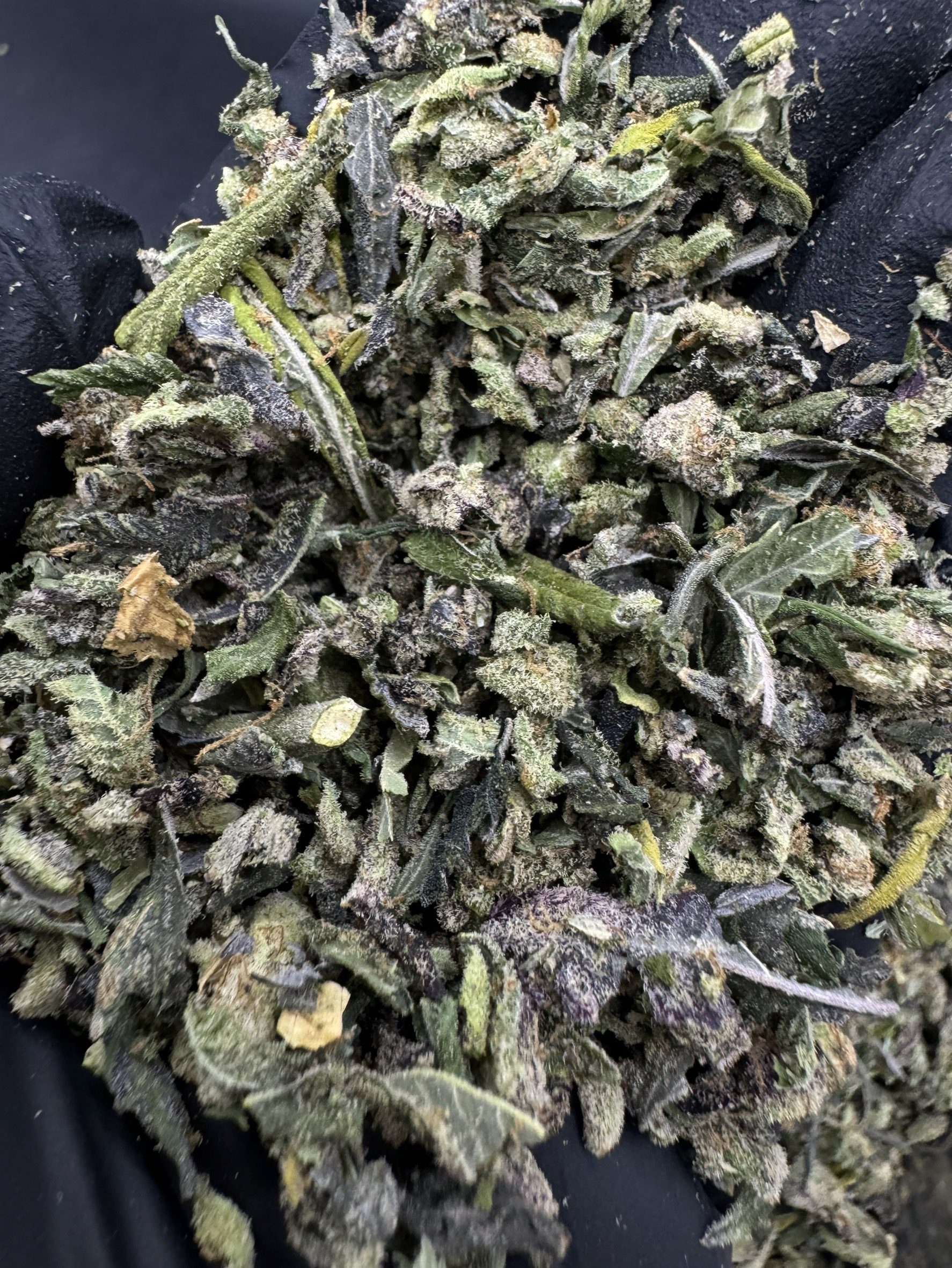 Trim Blackjack