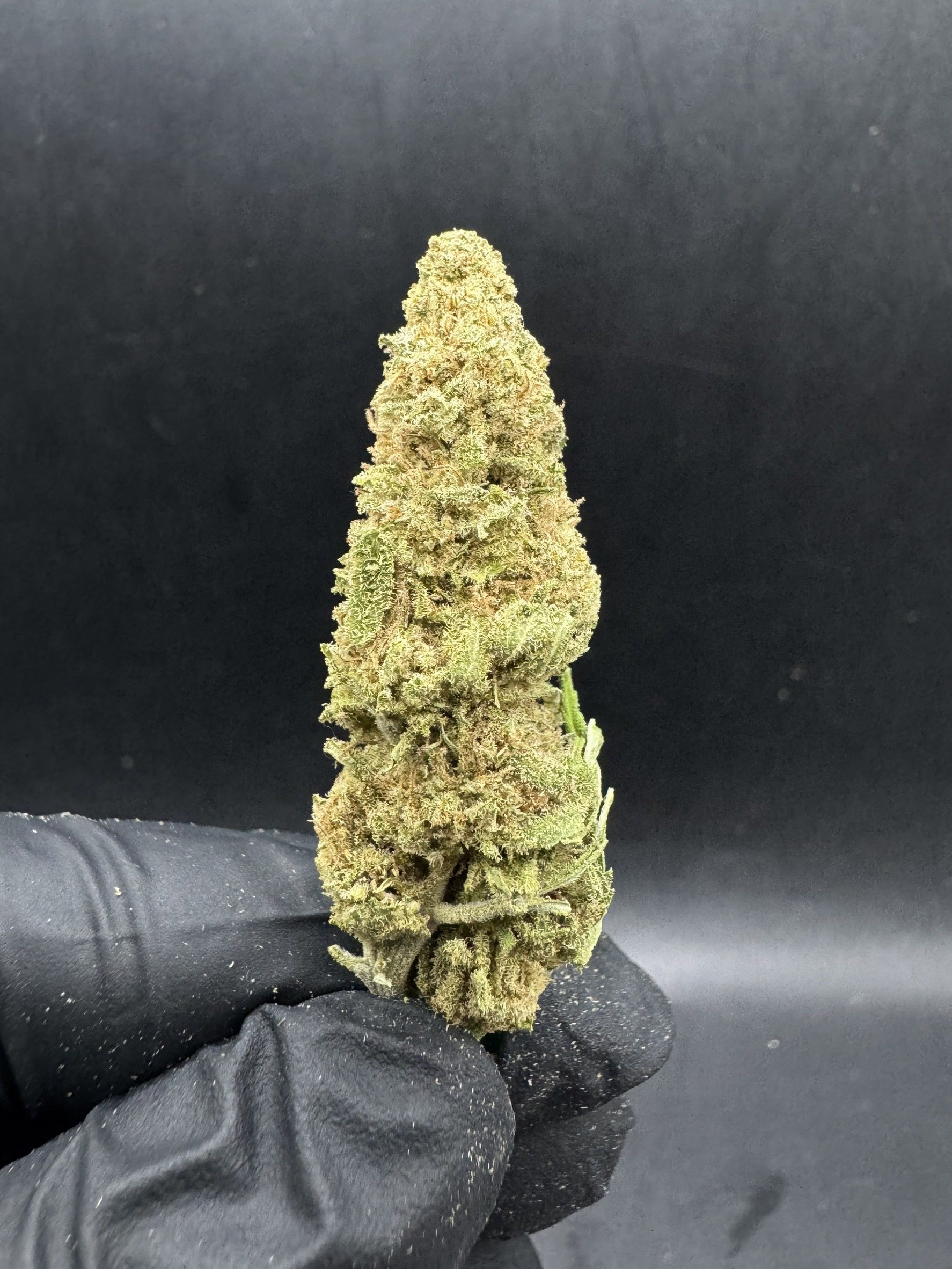 Critical Kush