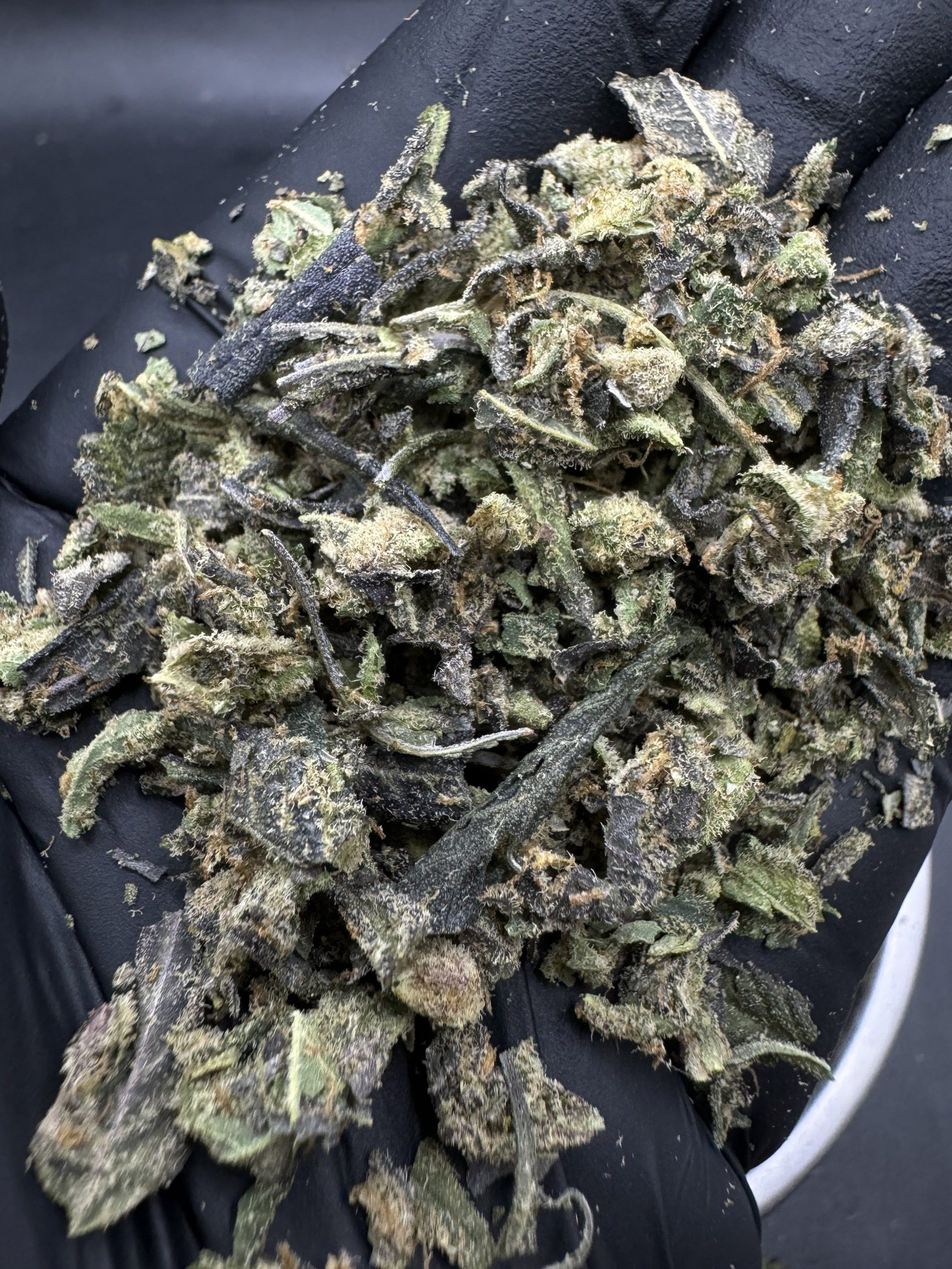 Trim Blackberry