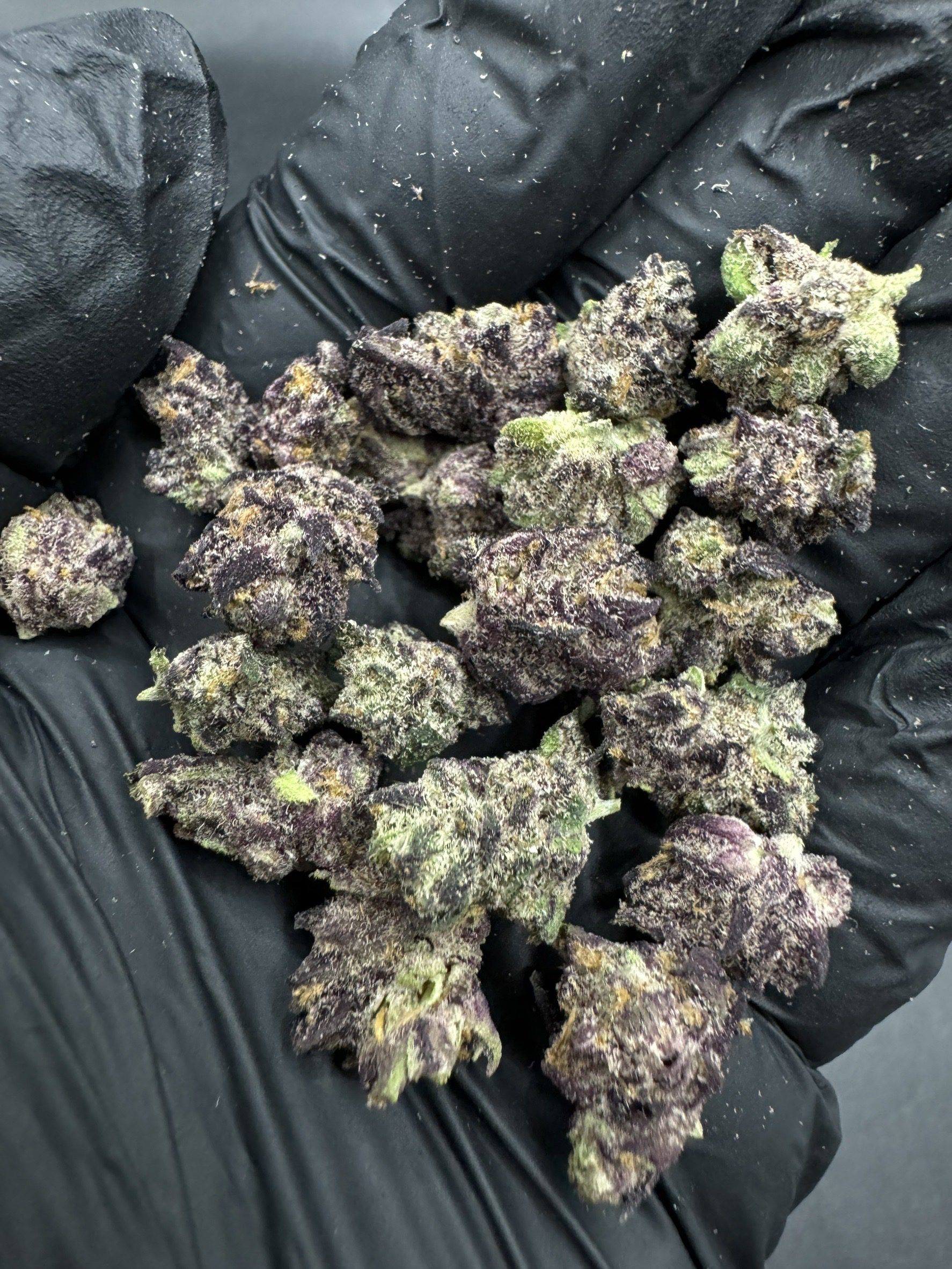 Black Mamba ( Pop )
