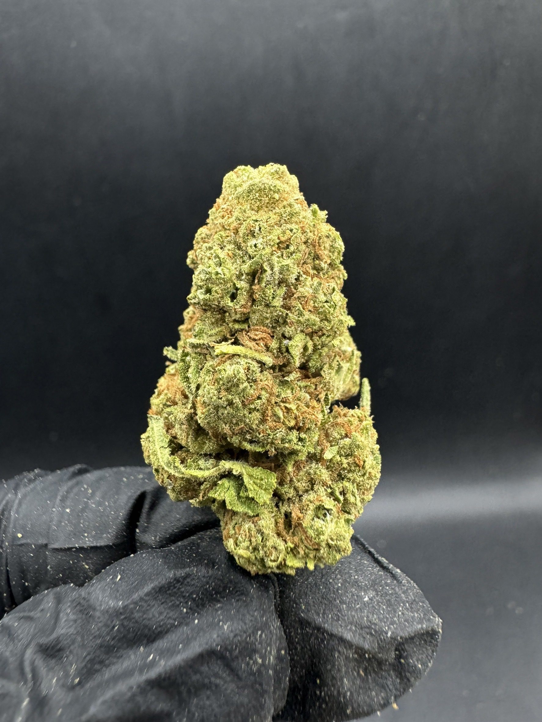 Purple Punch