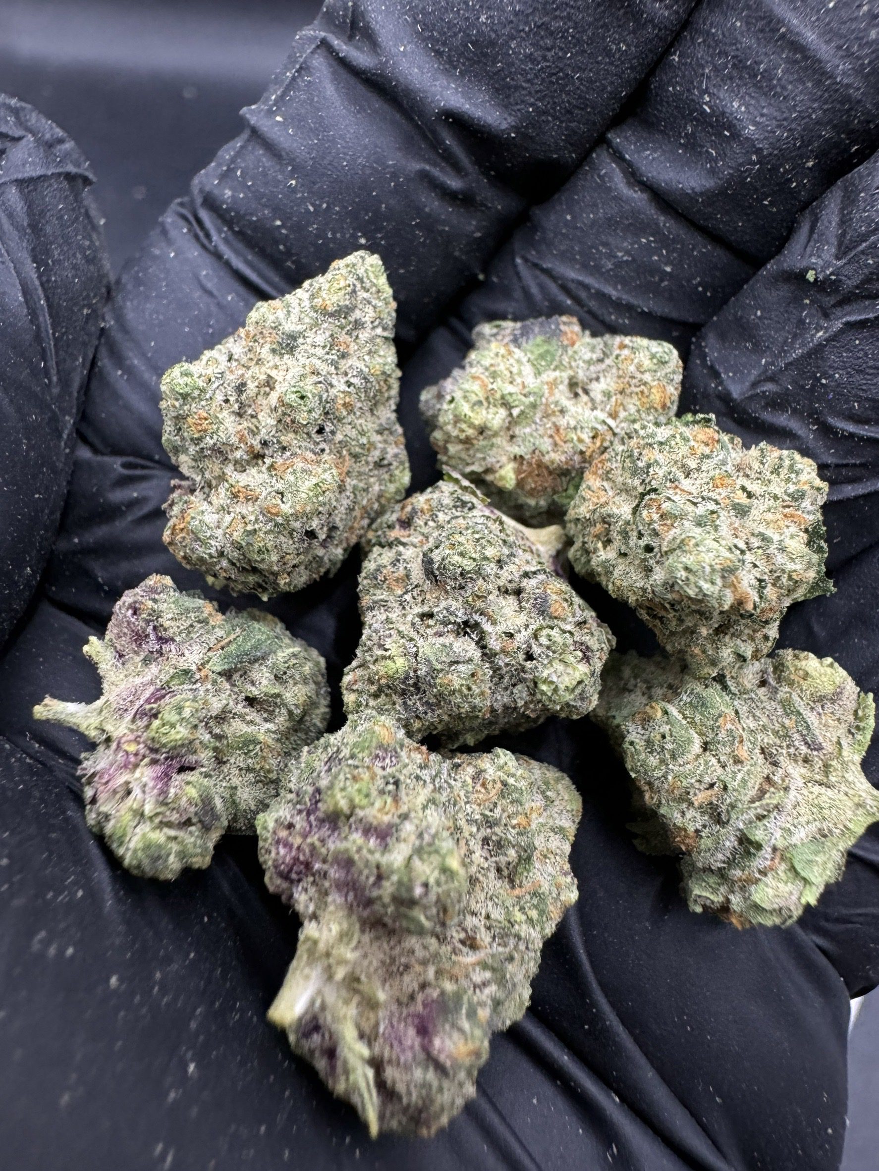 Prakim Kaitao ( Pop ) โล๊ะล้างสต็อค
