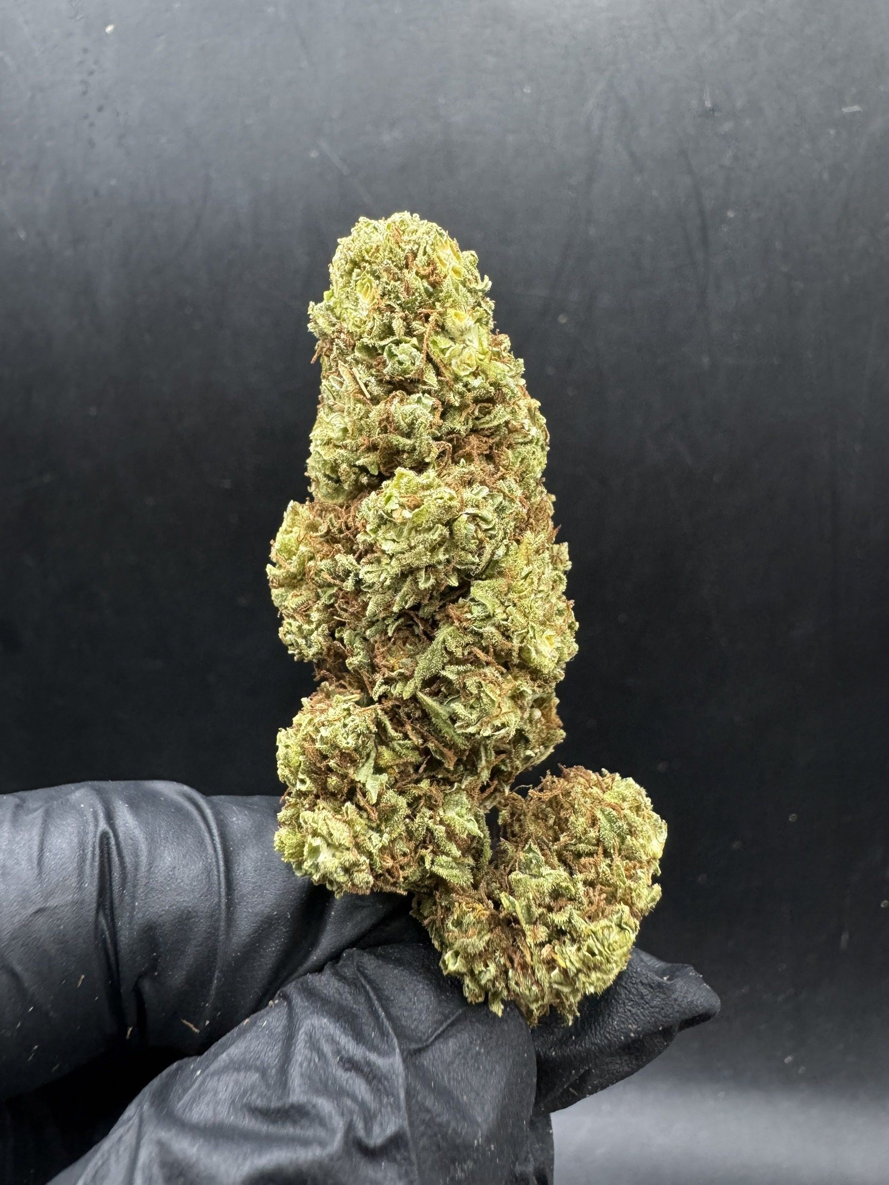 Girl Scout Cookies
