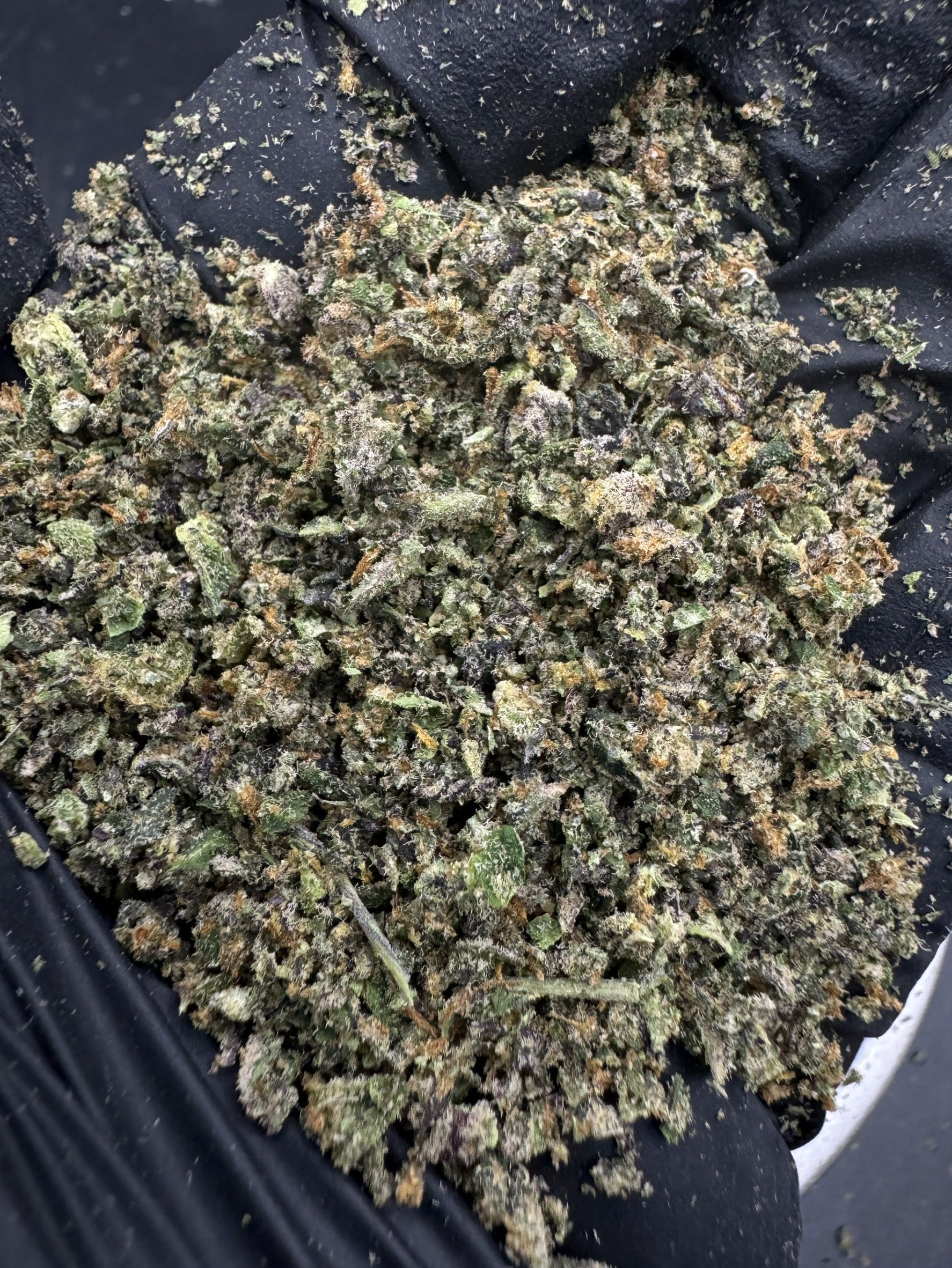 Trim Runtz OG