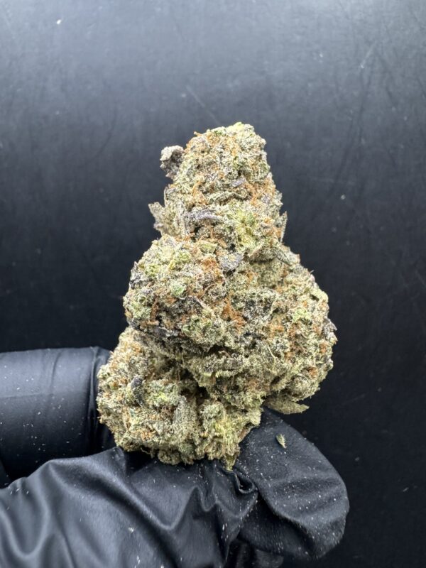 Truffle Monkey