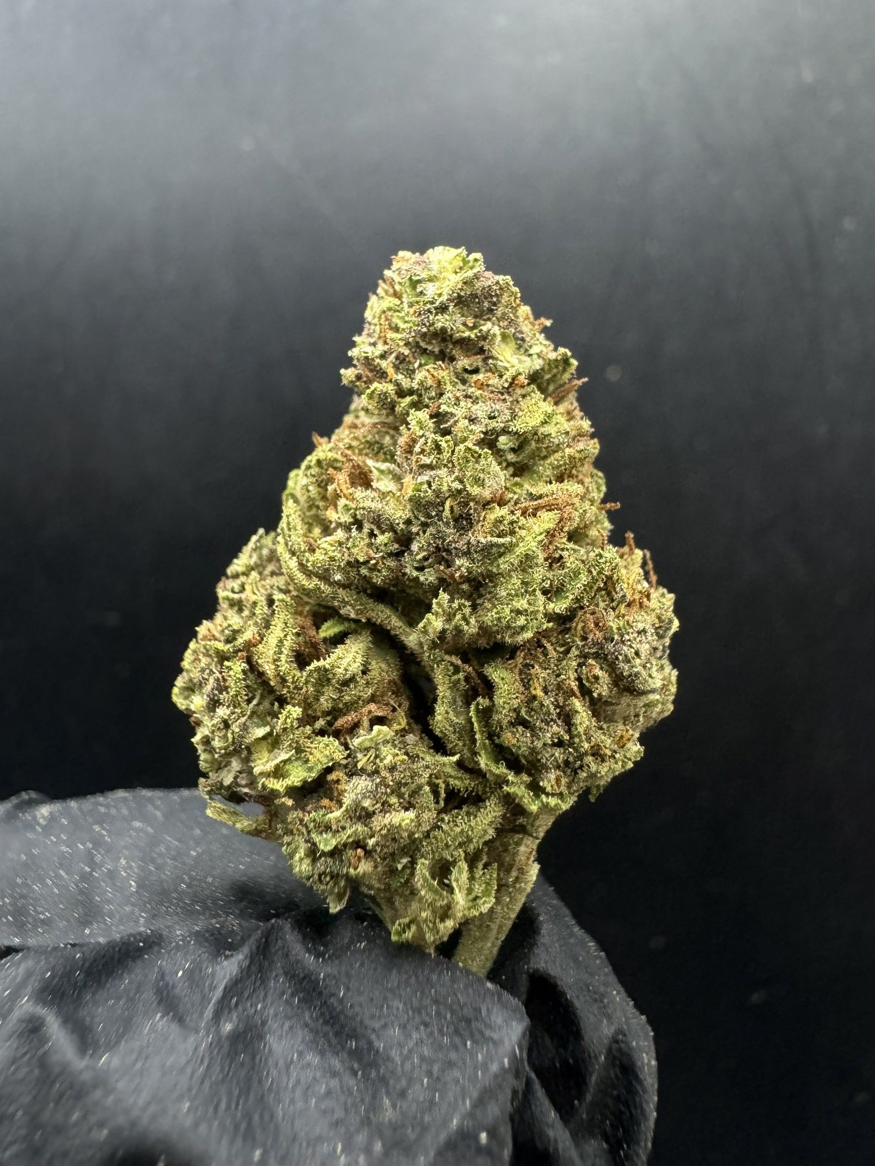 Mountain Glue