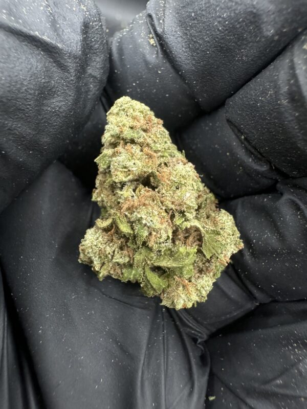 Bruce Banner - Image 3