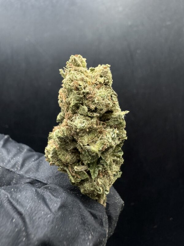 Bruce Banner