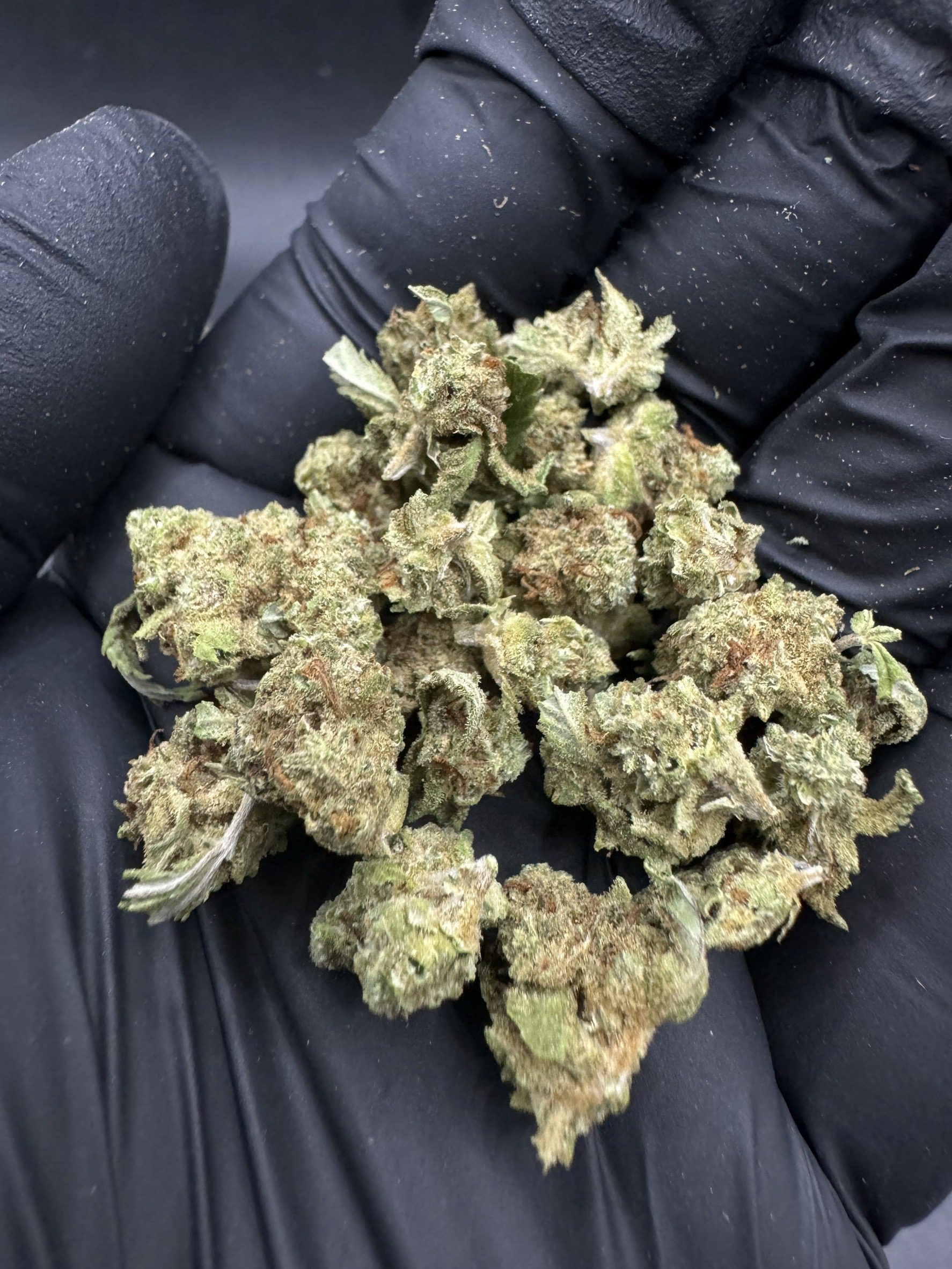 Hawaiian Fanta ( Pop )