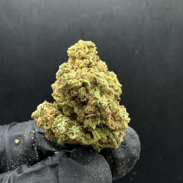 Amnesia Haze