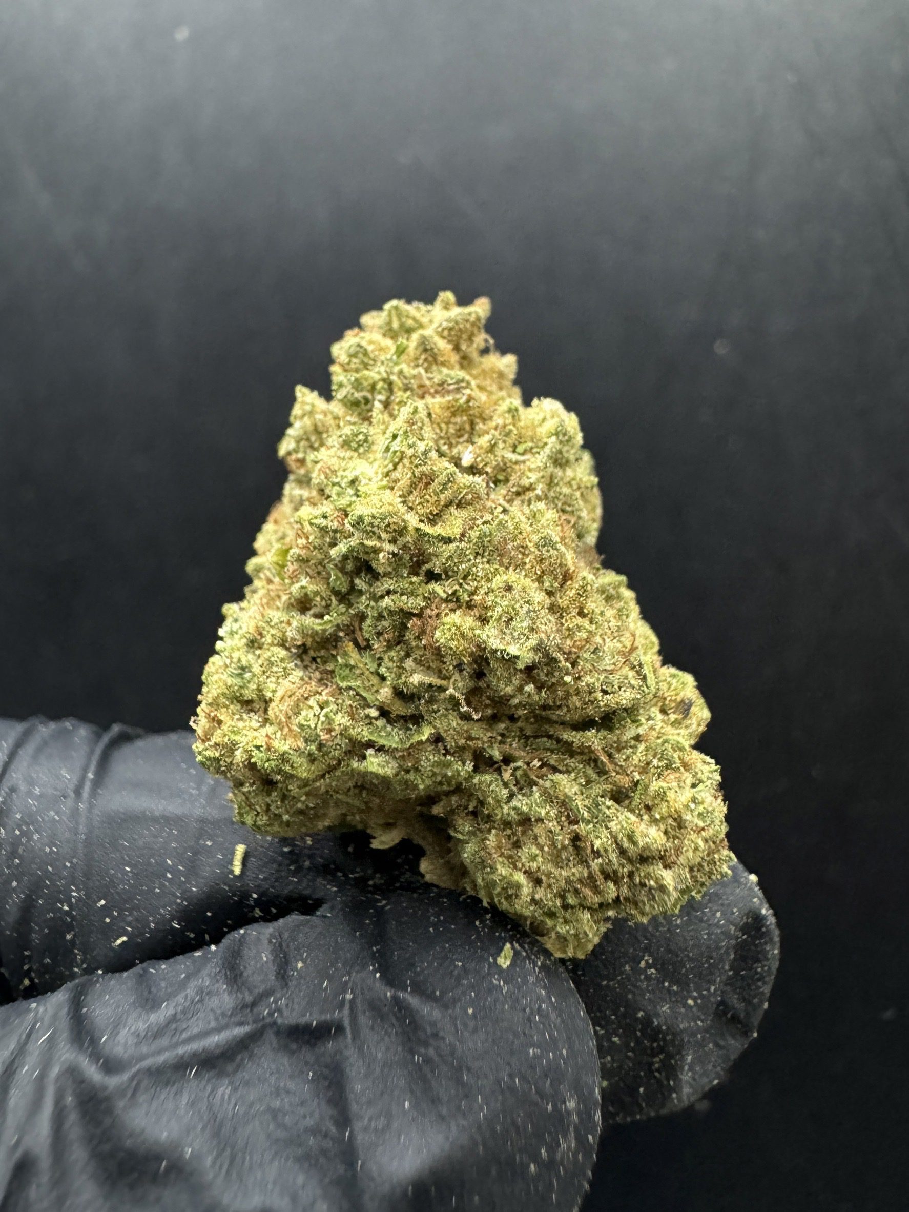 HighCloudZ