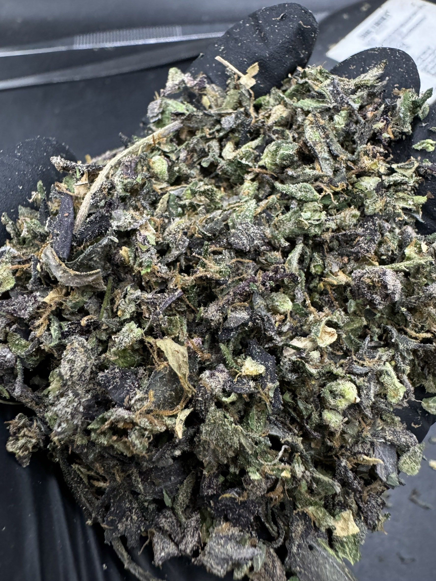 Trim Black Cherry Pie