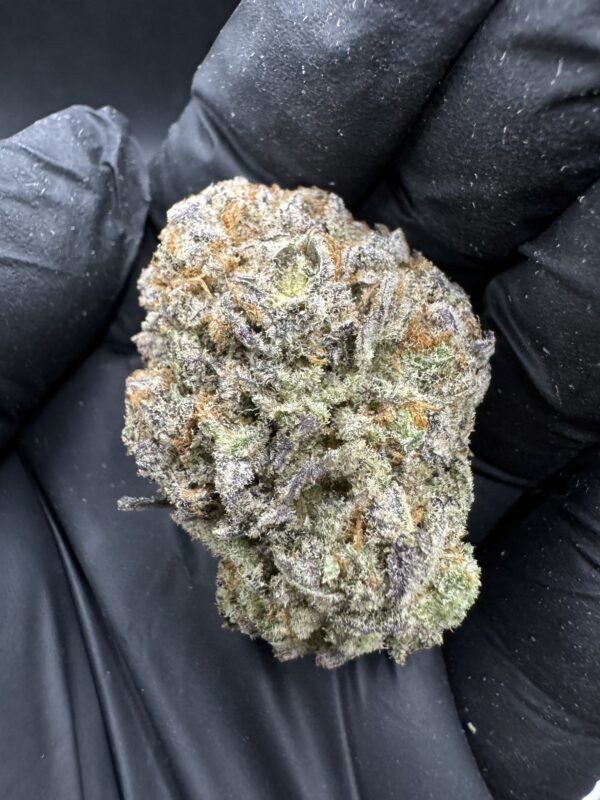 Mandarin Cookies V2 [ Topbud ] - Image 3