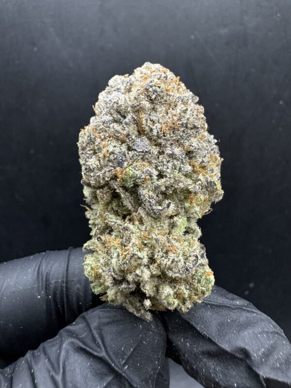 Mandarin Cookies V2 [ Topbud ]