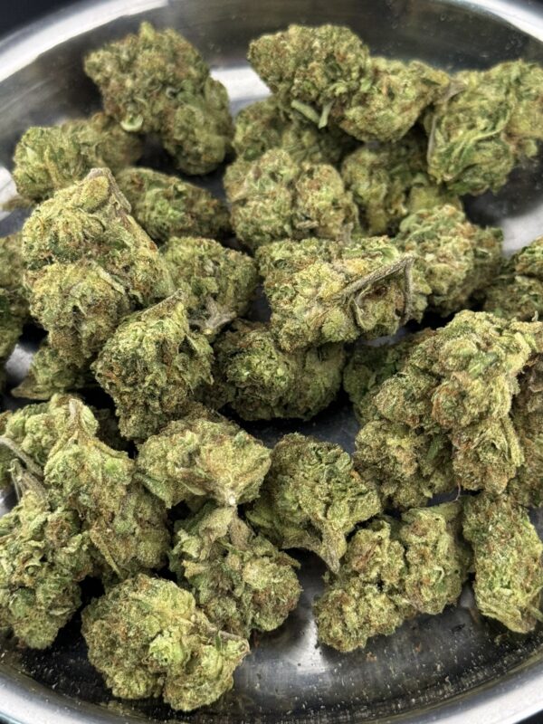 GMO King Cherry [ Organic ] - Image 3